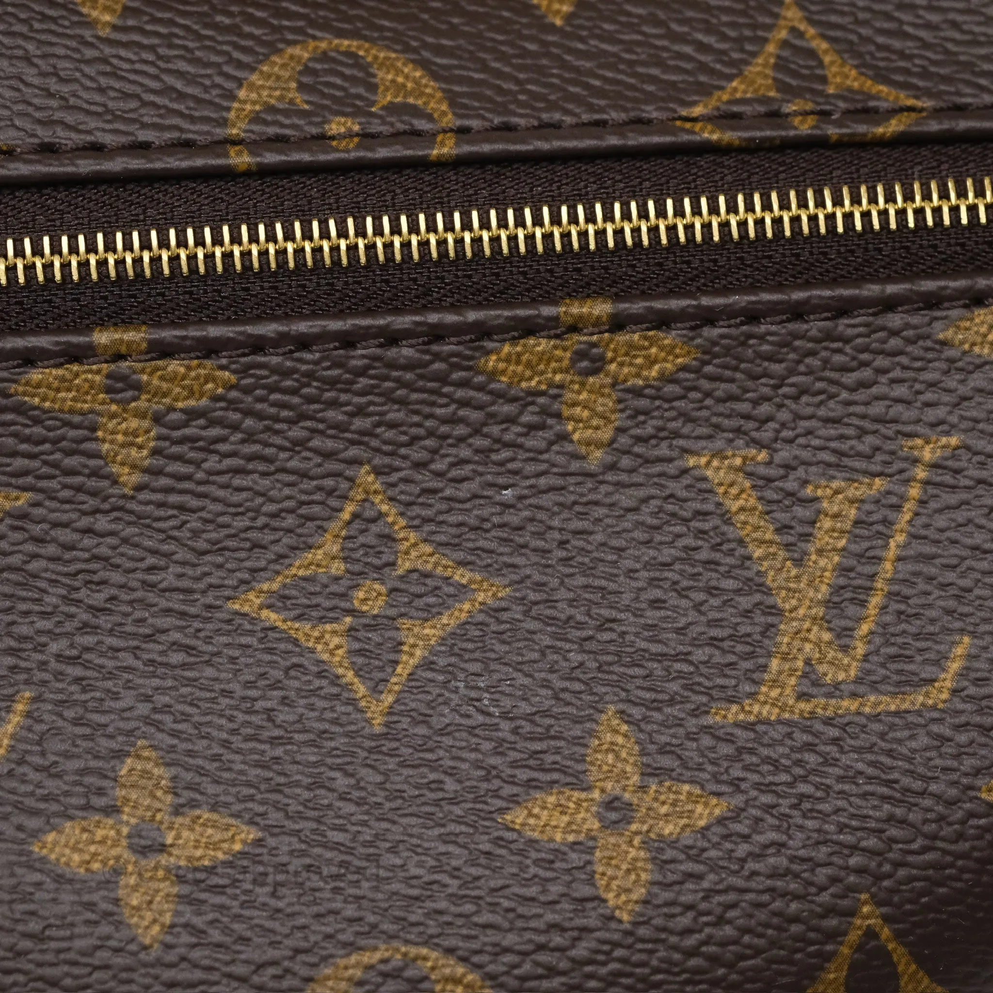Louis Vuitton Loop Monogram Canvas