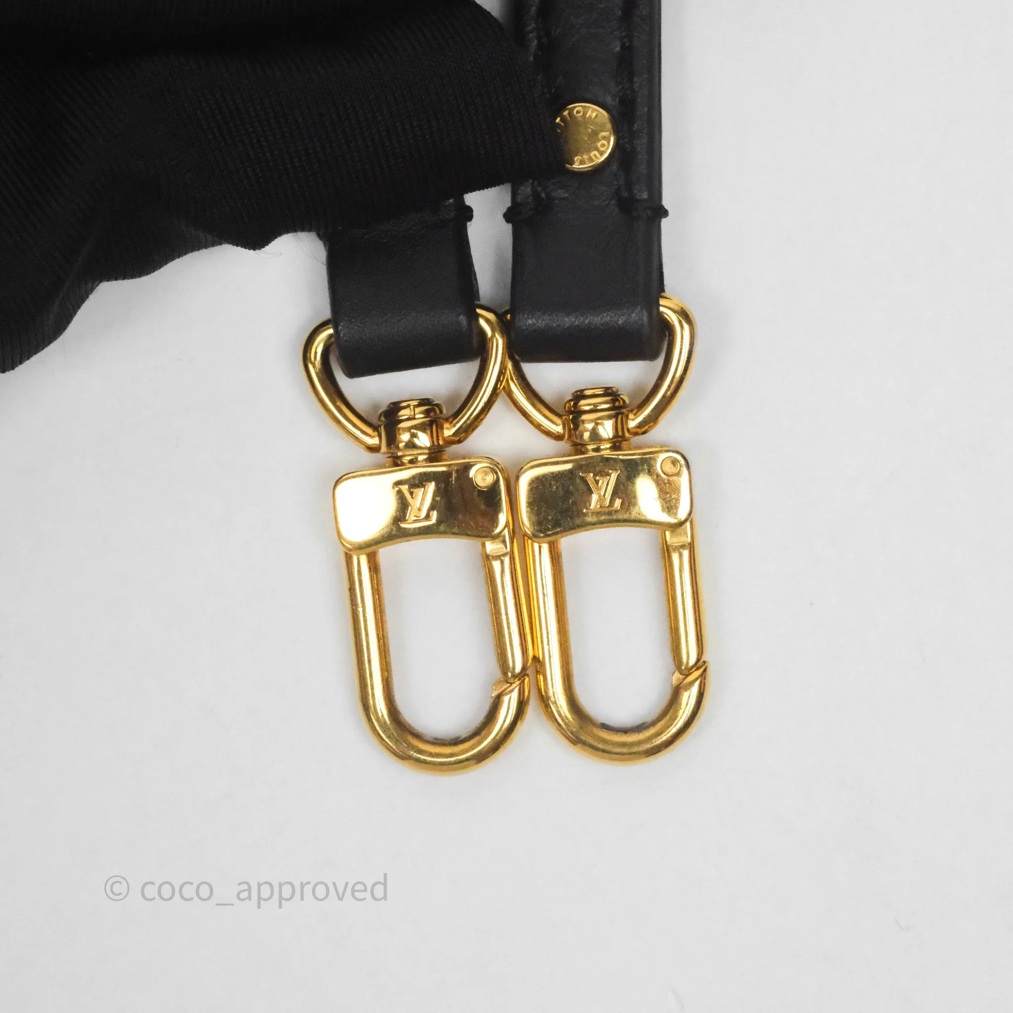 Louis Vuitton Mini Palm Springs Backpack Monogram