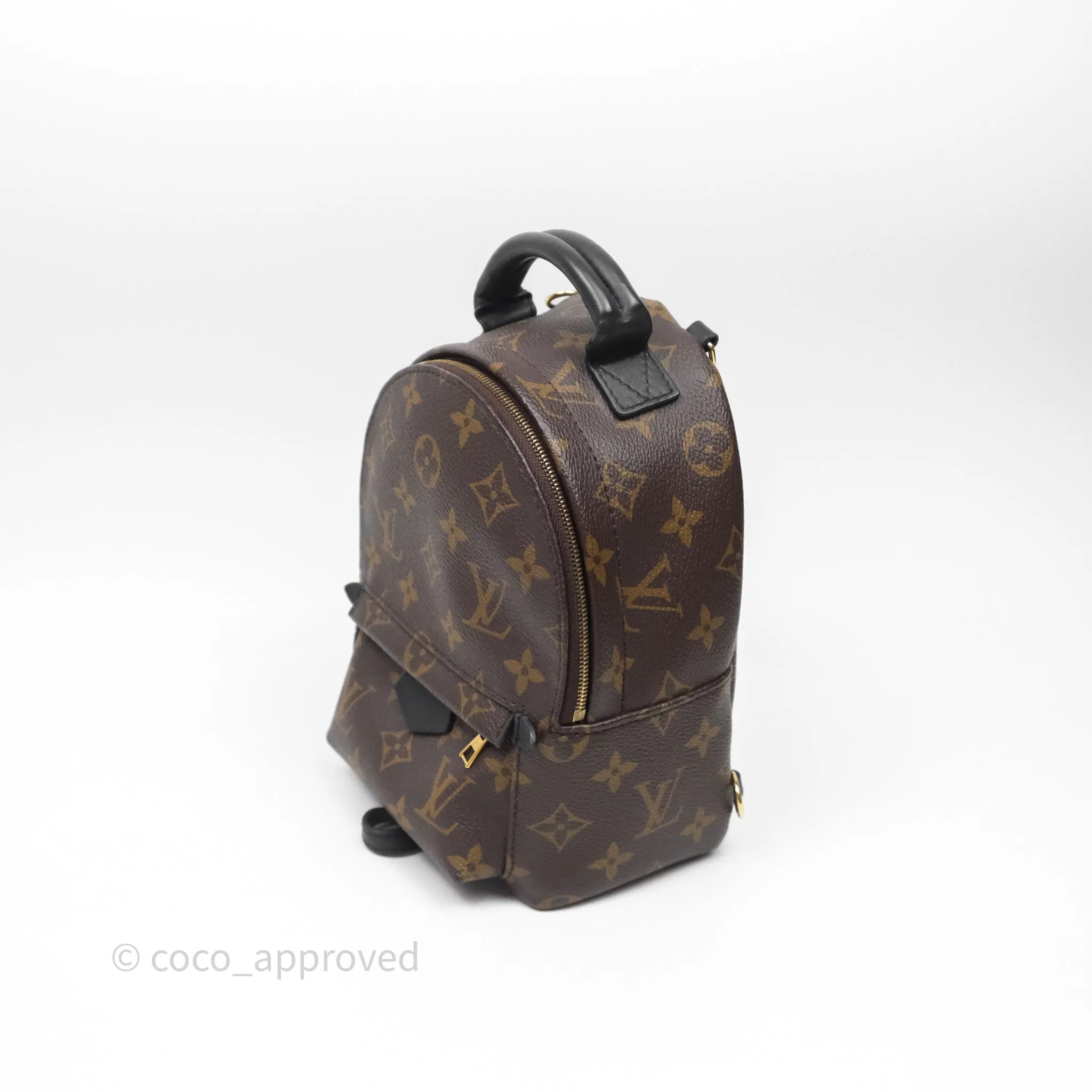 Louis Vuitton Mini Palm Springs Backpack Monogram