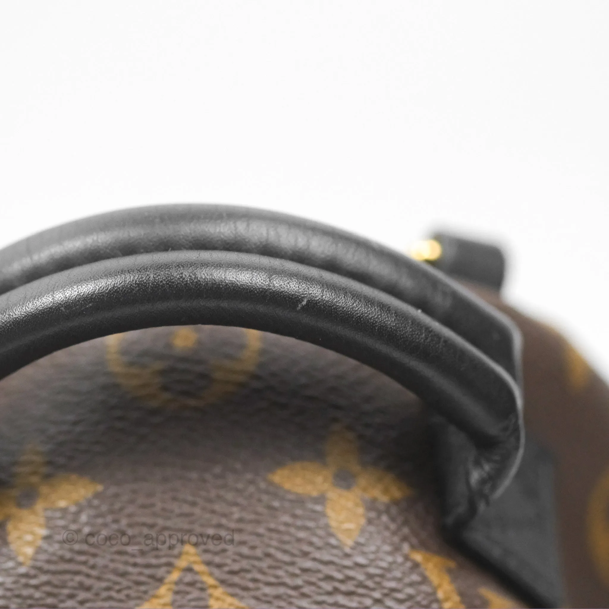 Louis Vuitton Mini Palm Springs Backpack Monogram