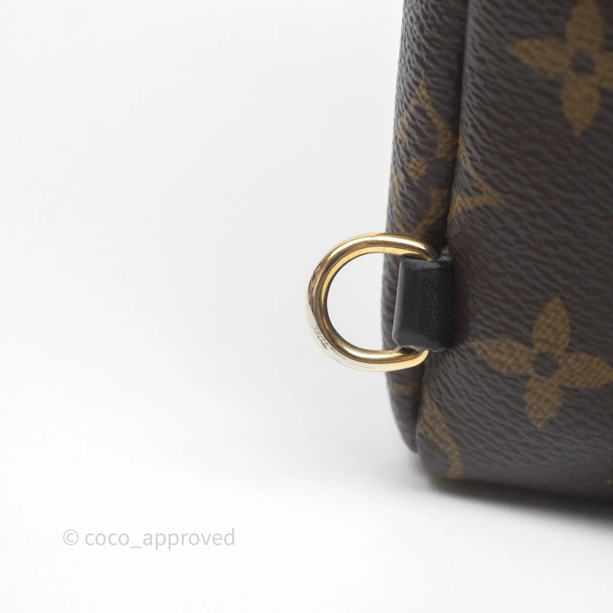 Louis Vuitton Mini Palm Springs Backpack Monogram