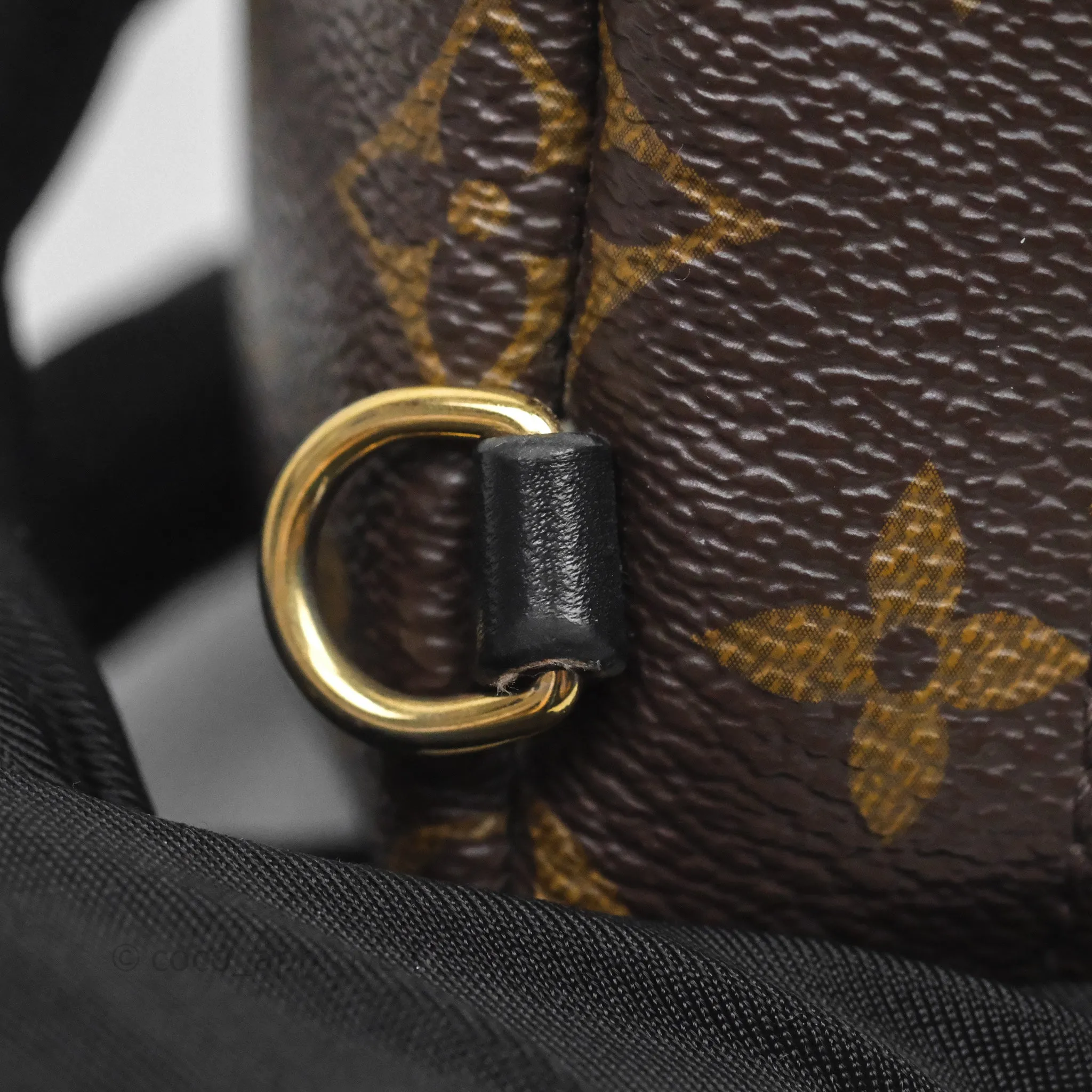 Louis Vuitton Mini Palm Springs Backpack Monogram