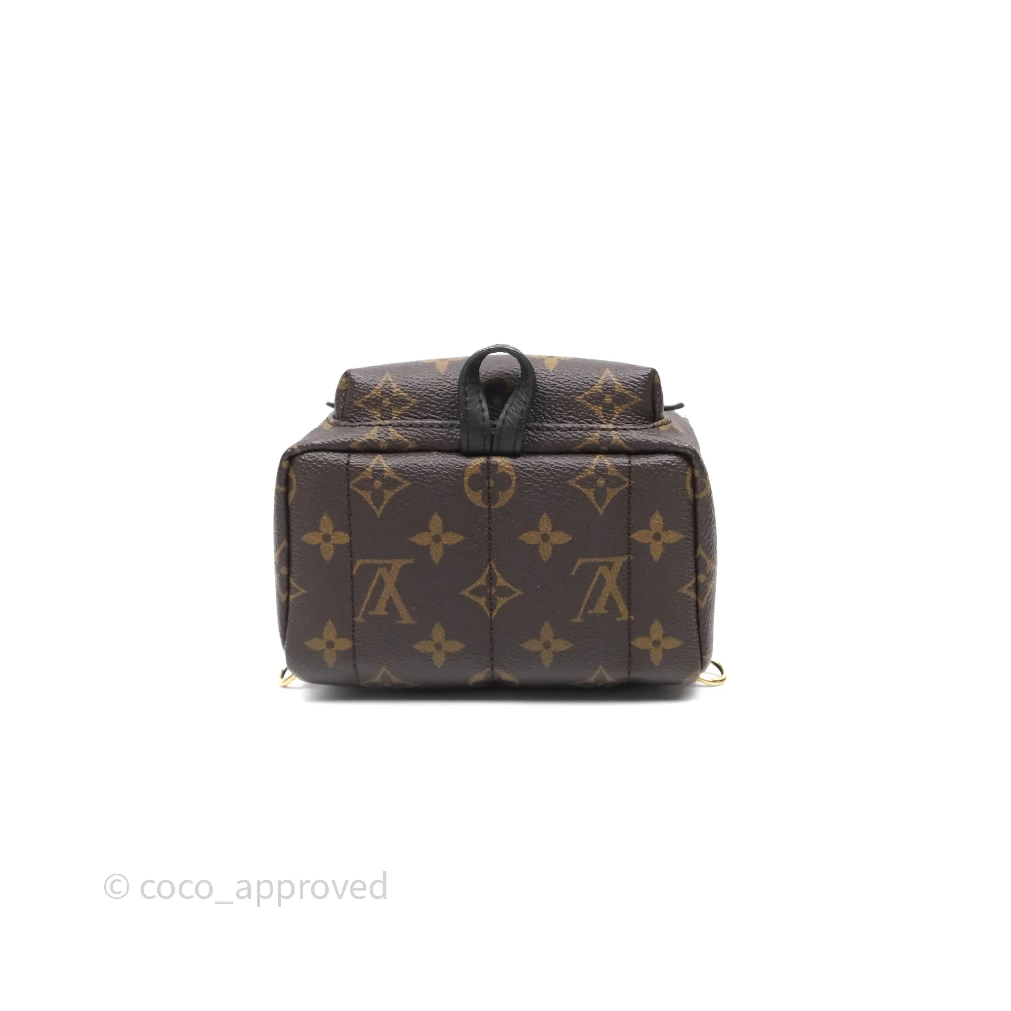 Louis Vuitton Mini Palm Springs Backpack Monogram