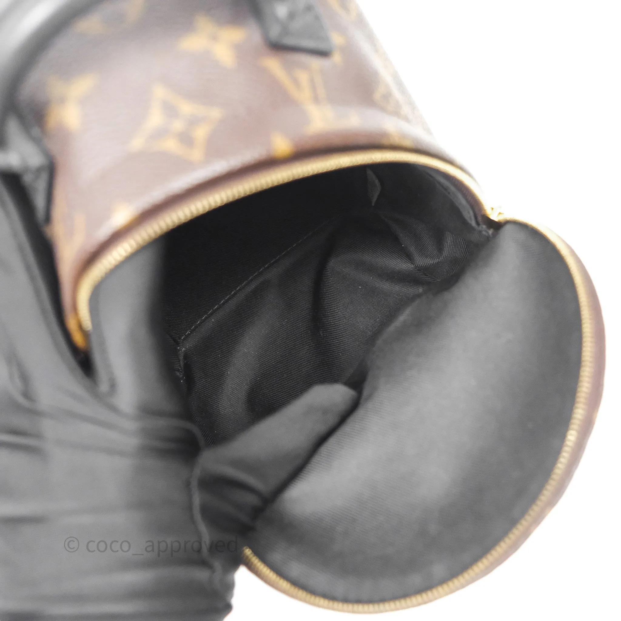 Louis Vuitton Mini Palm Springs Backpack Monogram