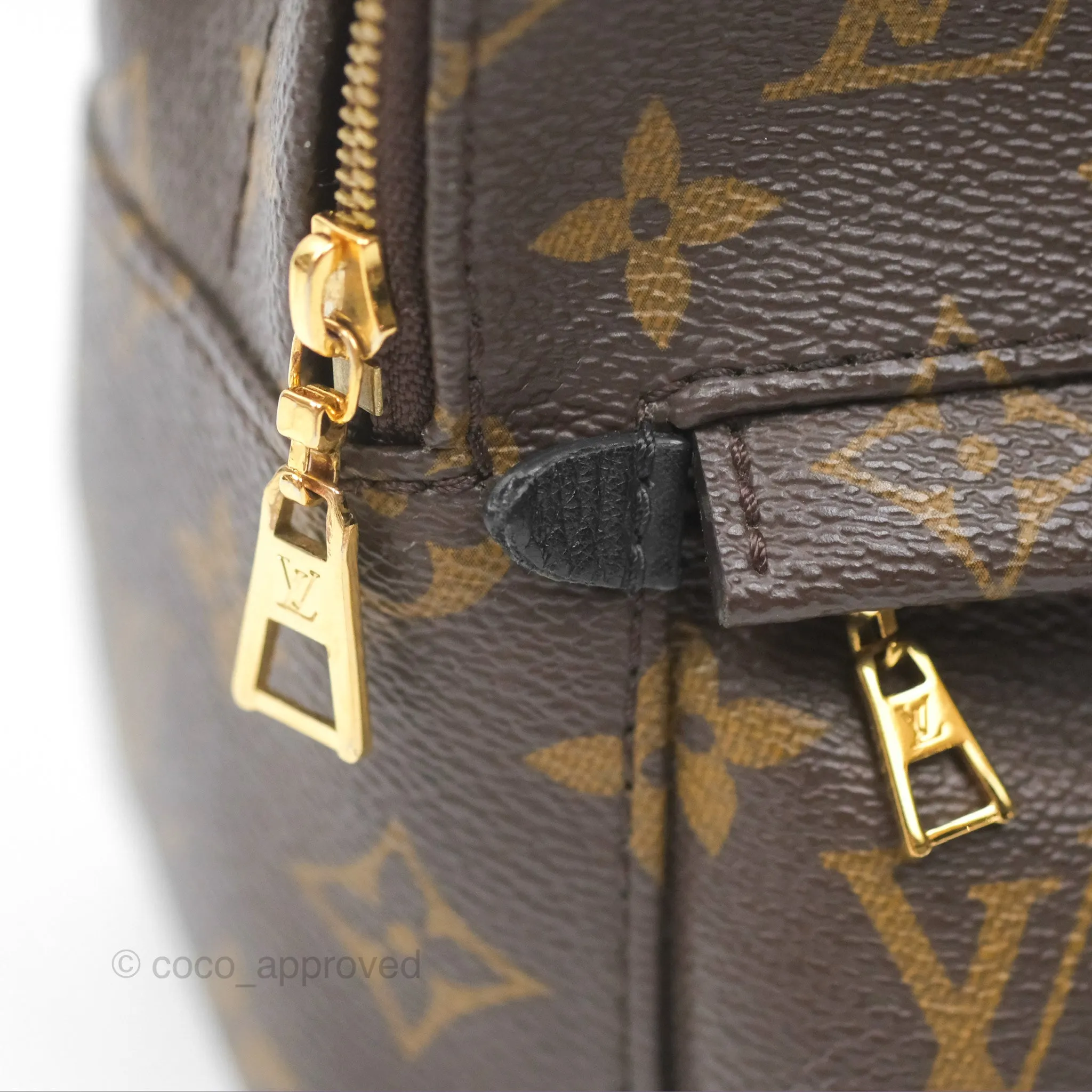 Louis Vuitton Mini Palm Springs Backpack Monogram