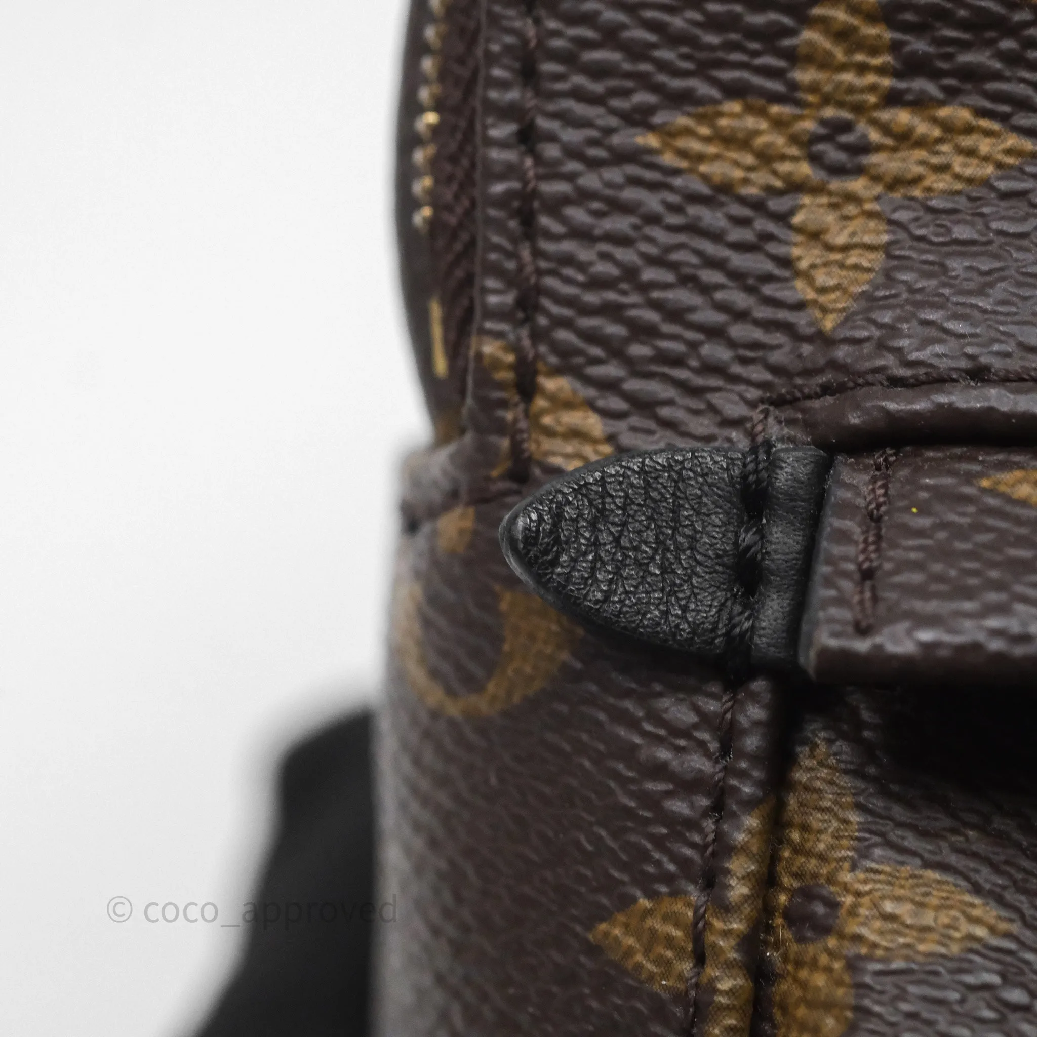 Louis Vuitton Mini Palm Springs Backpack Monogram