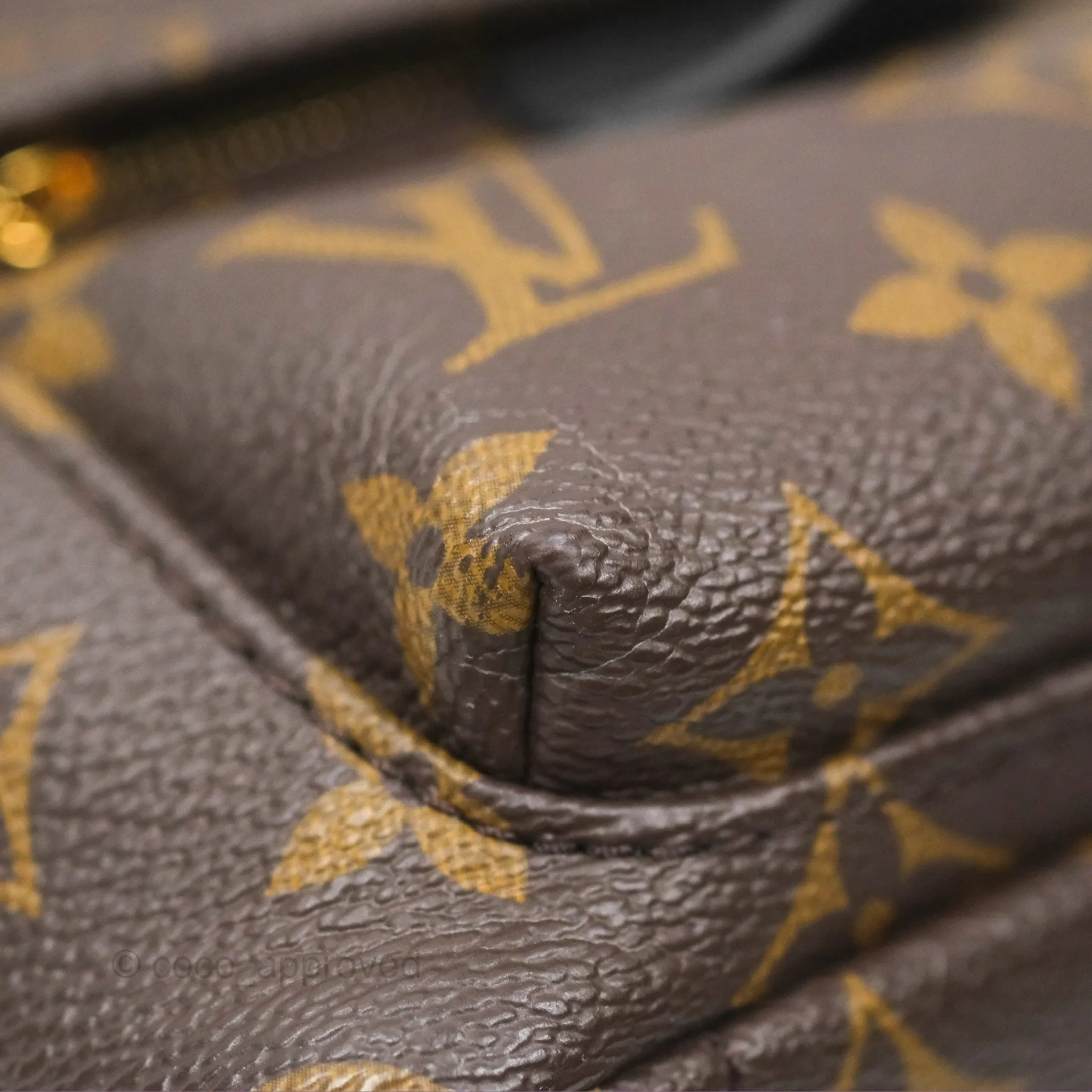 Louis Vuitton Mini Palm Springs Backpack Monogram