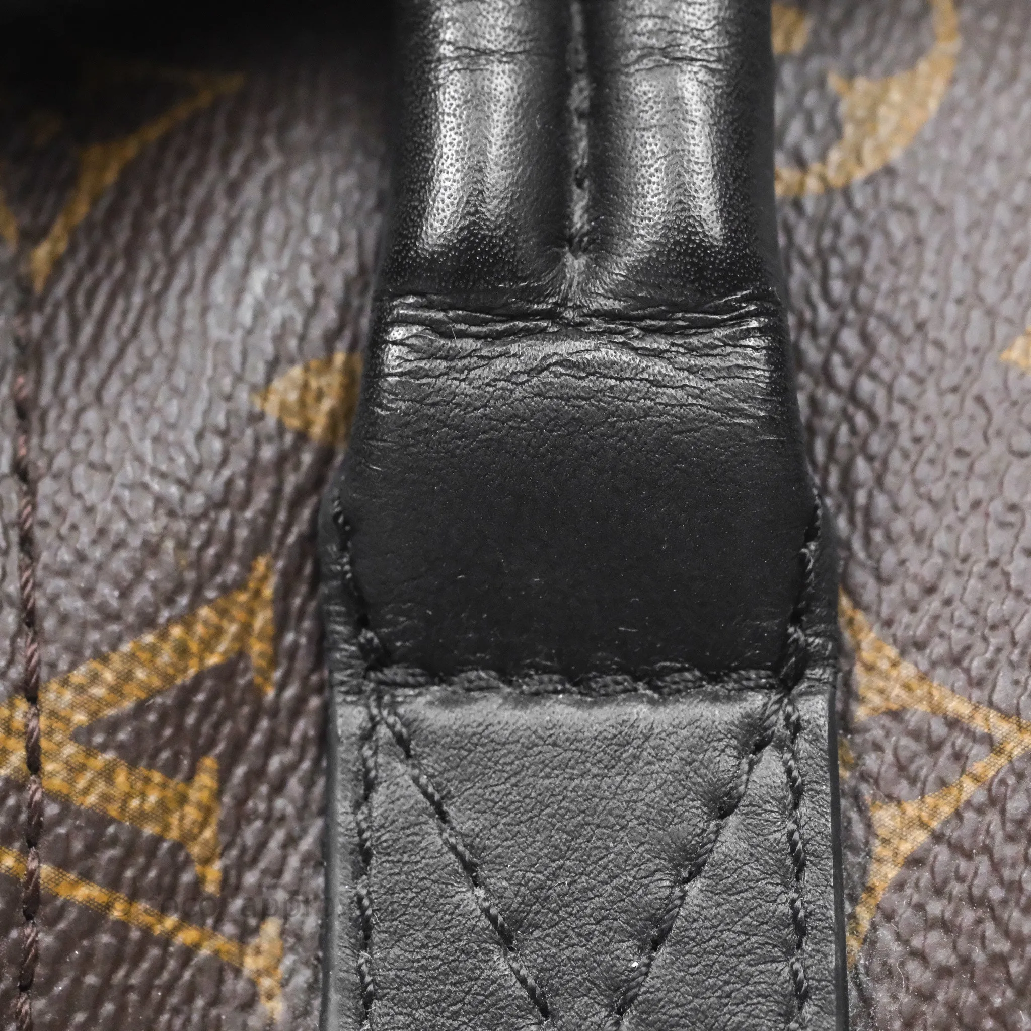 Louis Vuitton Mini Palm Springs Backpack Monogram
