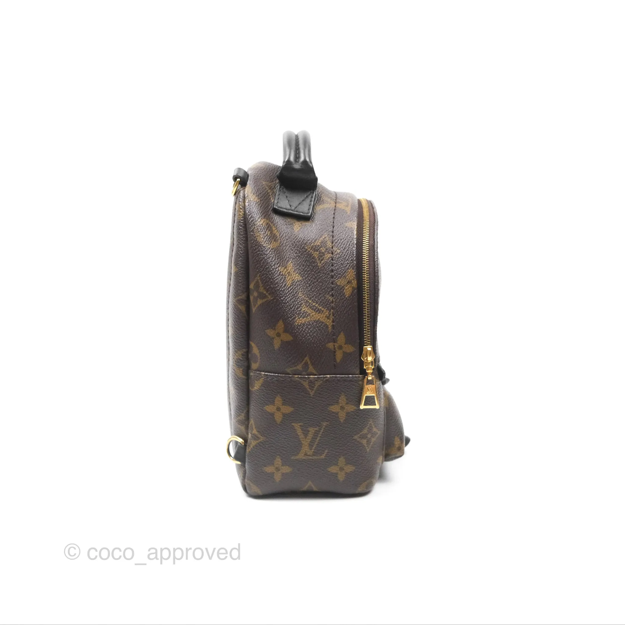 Louis Vuitton Mini Palm Springs Backpack Monogram