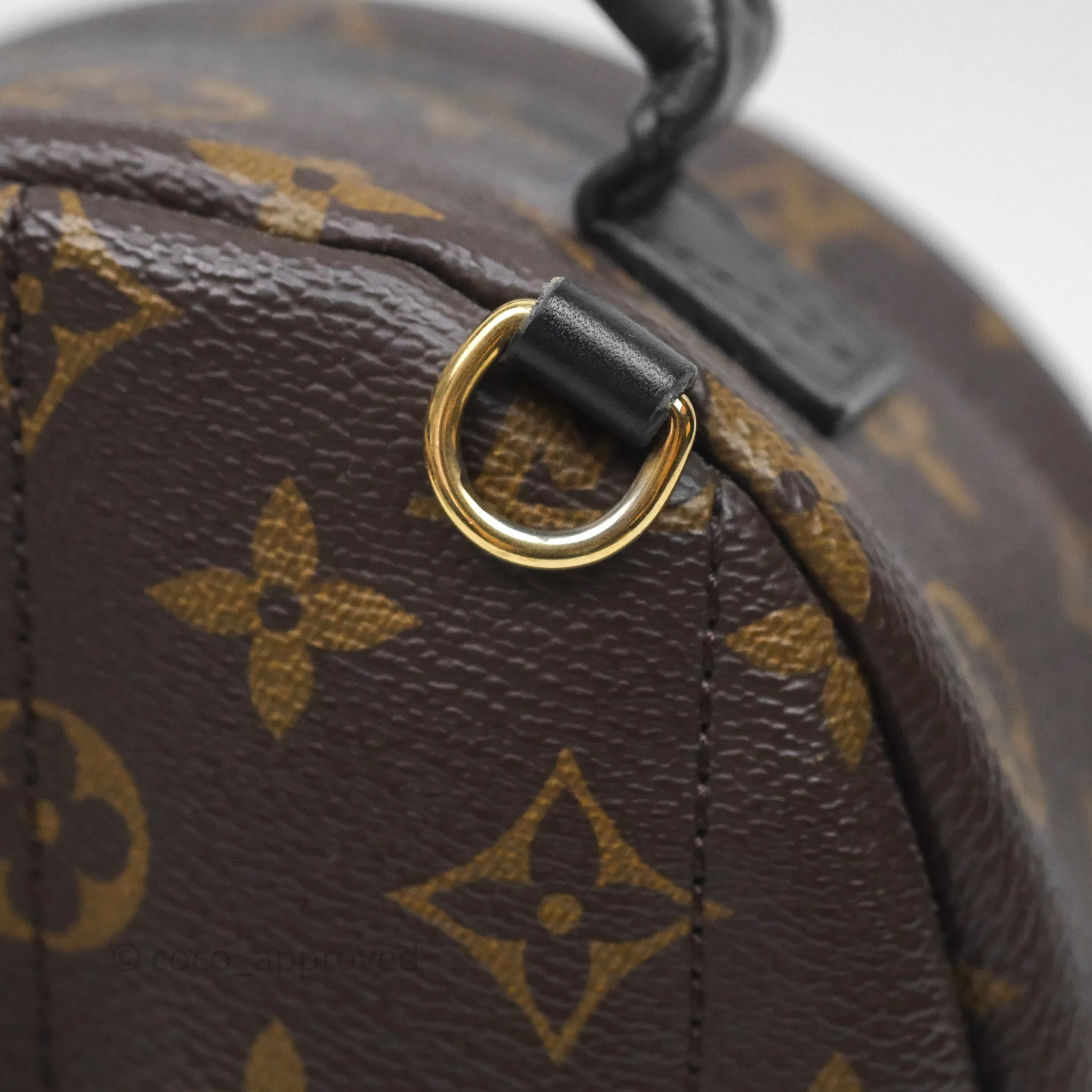 Louis Vuitton Mini Palm Springs Backpack Monogram