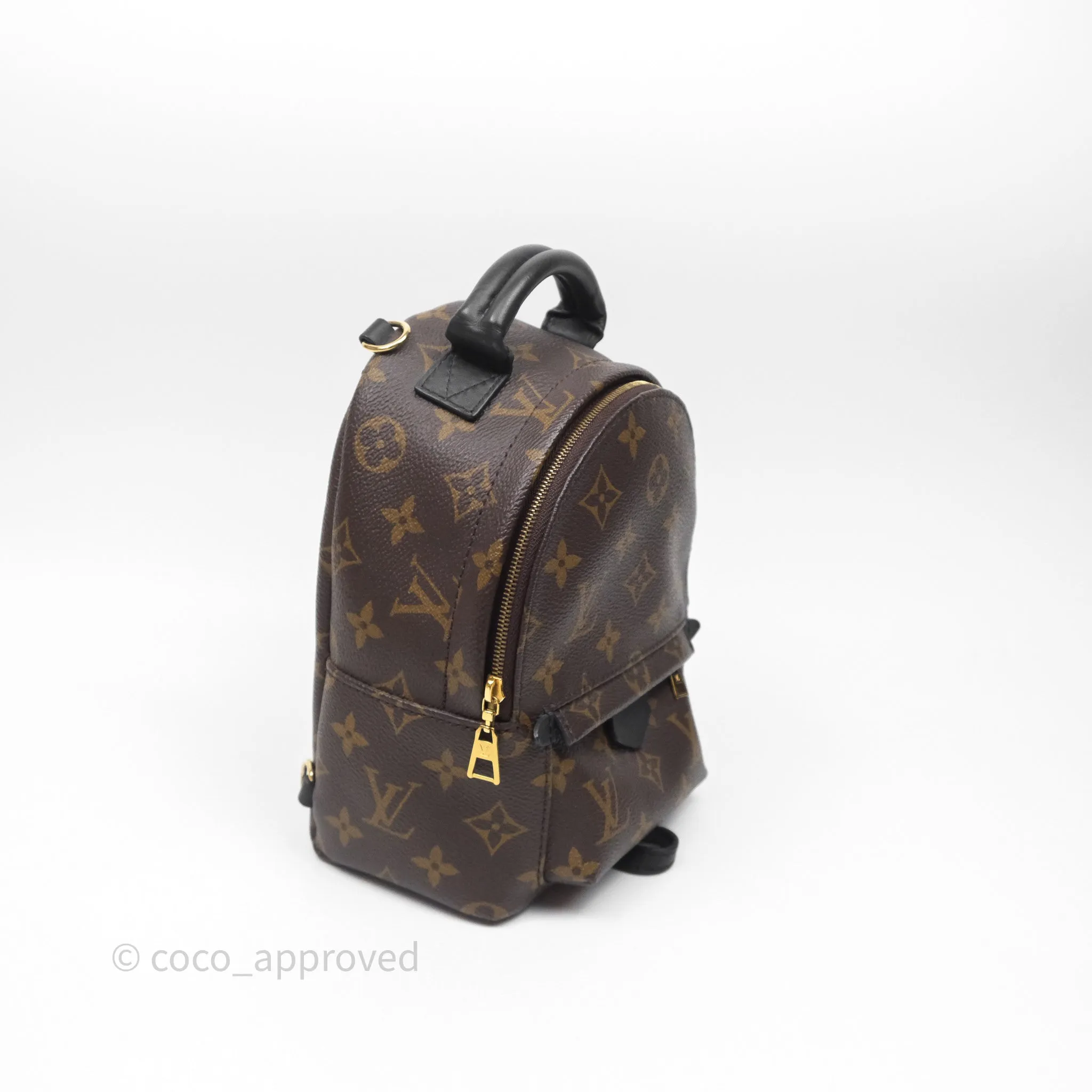 Louis Vuitton Mini Palm Springs Backpack Monogram
