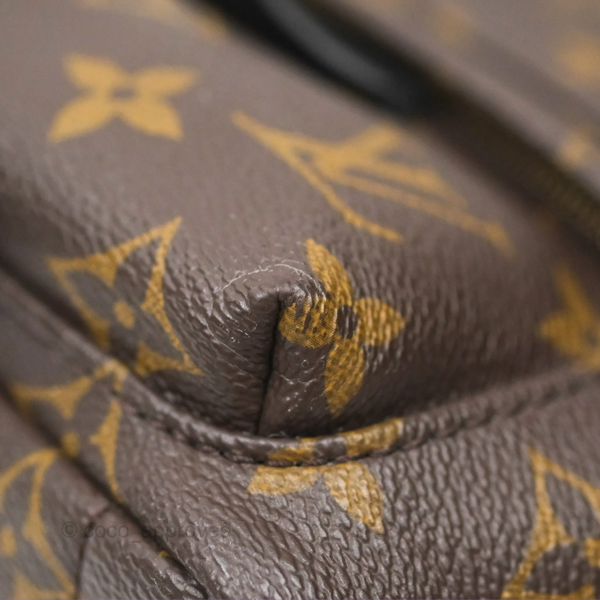 Louis Vuitton Mini Palm Springs Backpack Monogram