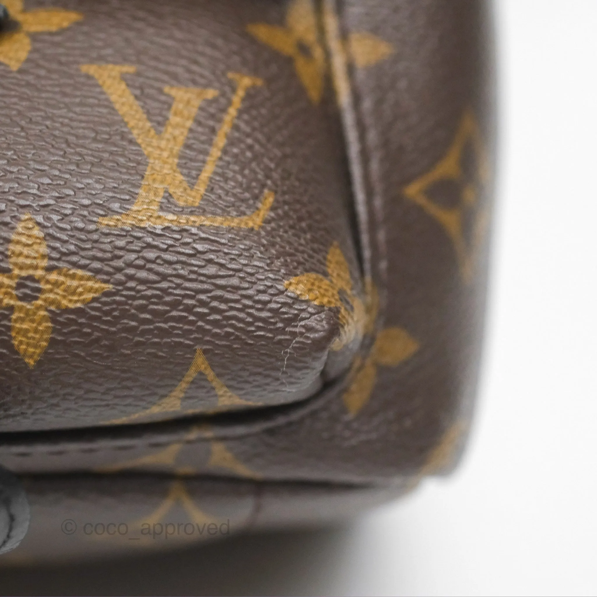 Louis Vuitton Mini Palm Springs Backpack Monogram