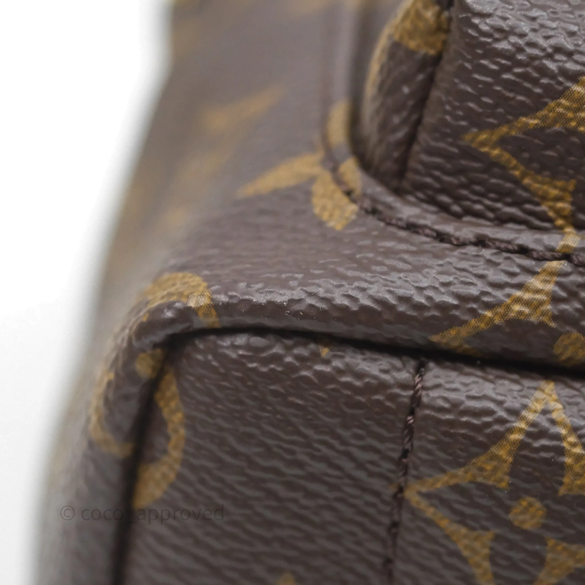 Louis Vuitton Mini Palm Springs Backpack Monogram