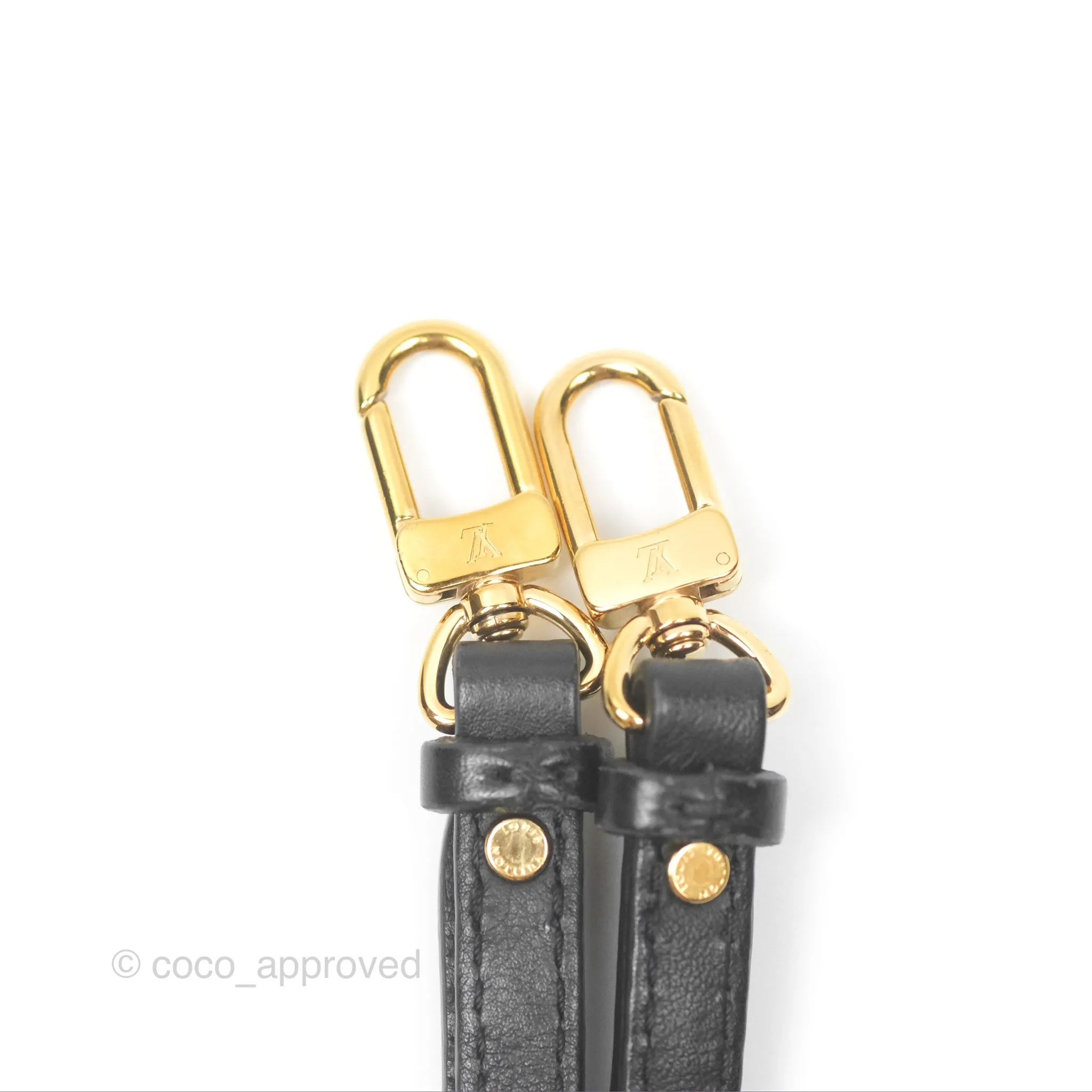 Louis Vuitton Mini Palm Springs Backpack Monogram