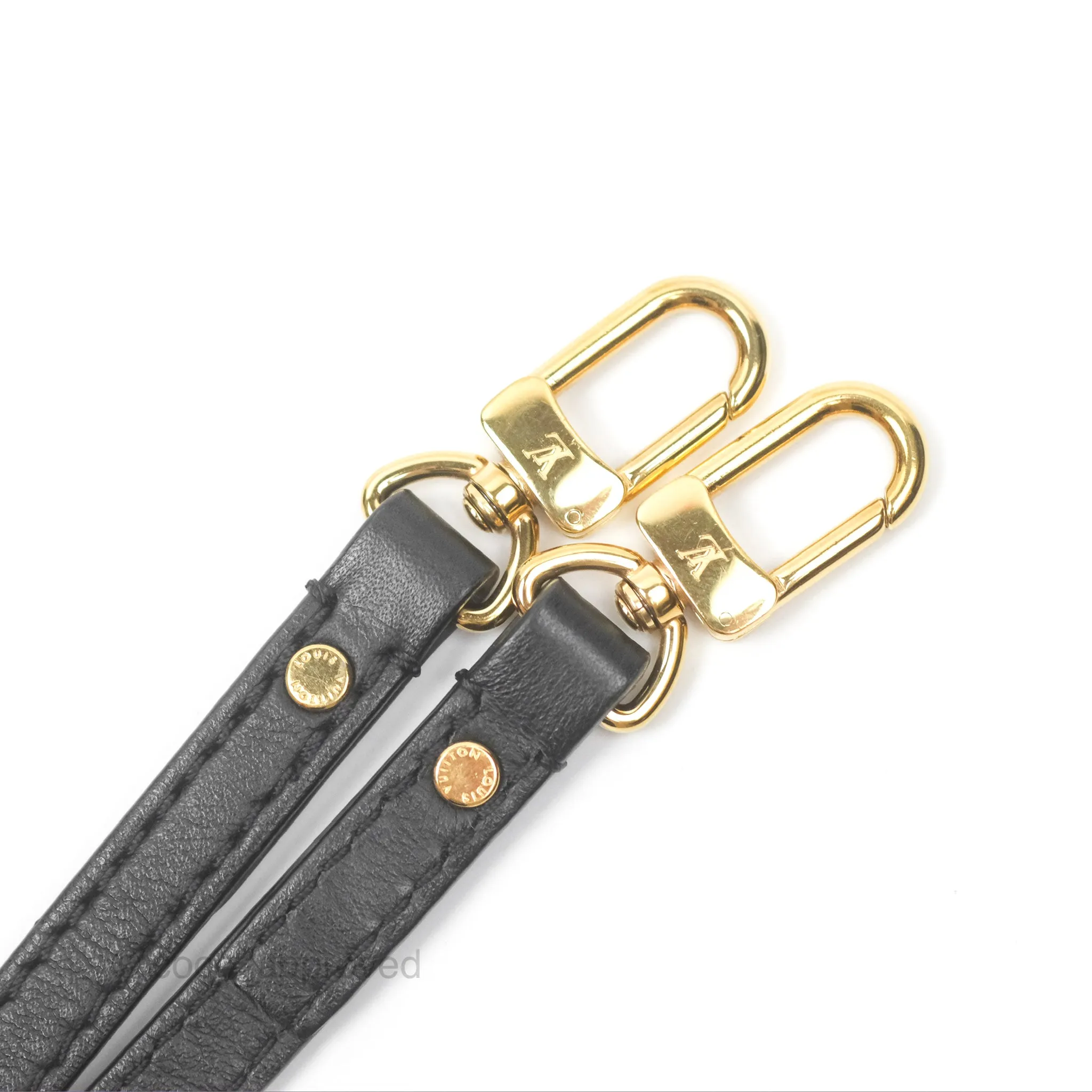 Louis Vuitton Mini Palm Springs Backpack Monogram