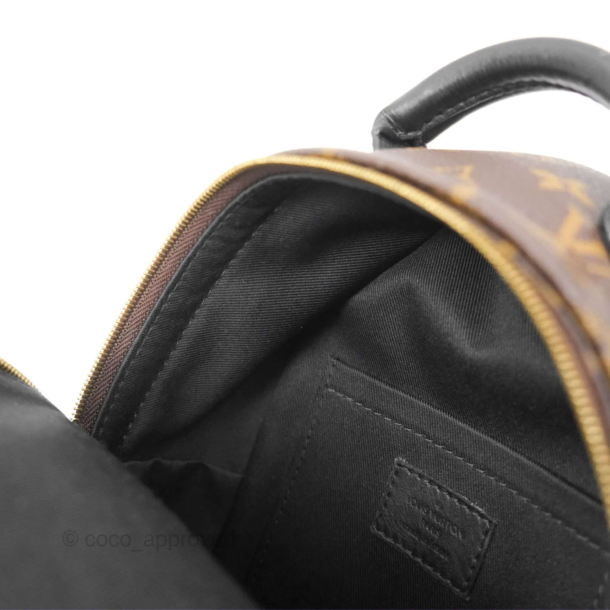 Louis Vuitton Mini Palm Springs Backpack Monogram