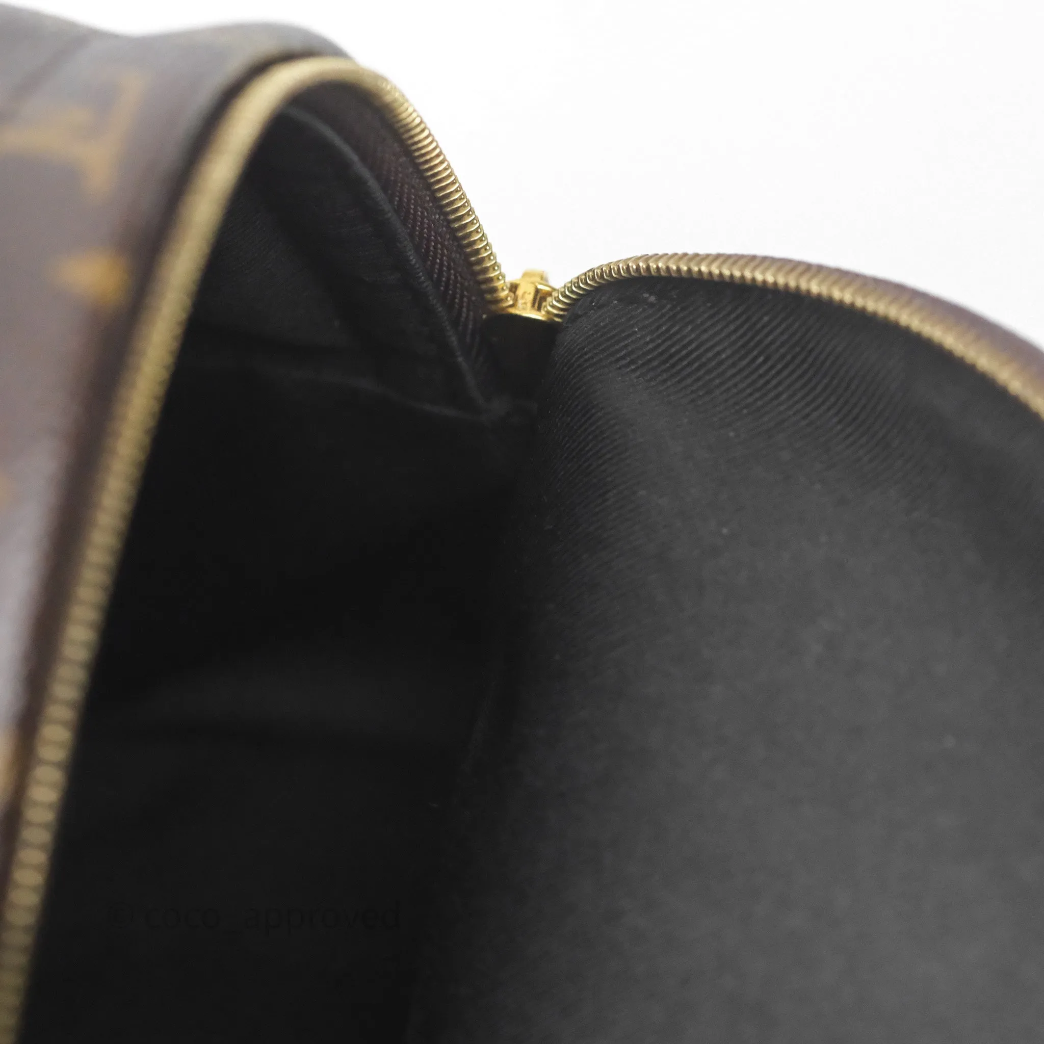 Louis Vuitton Mini Palm Springs Backpack Monogram