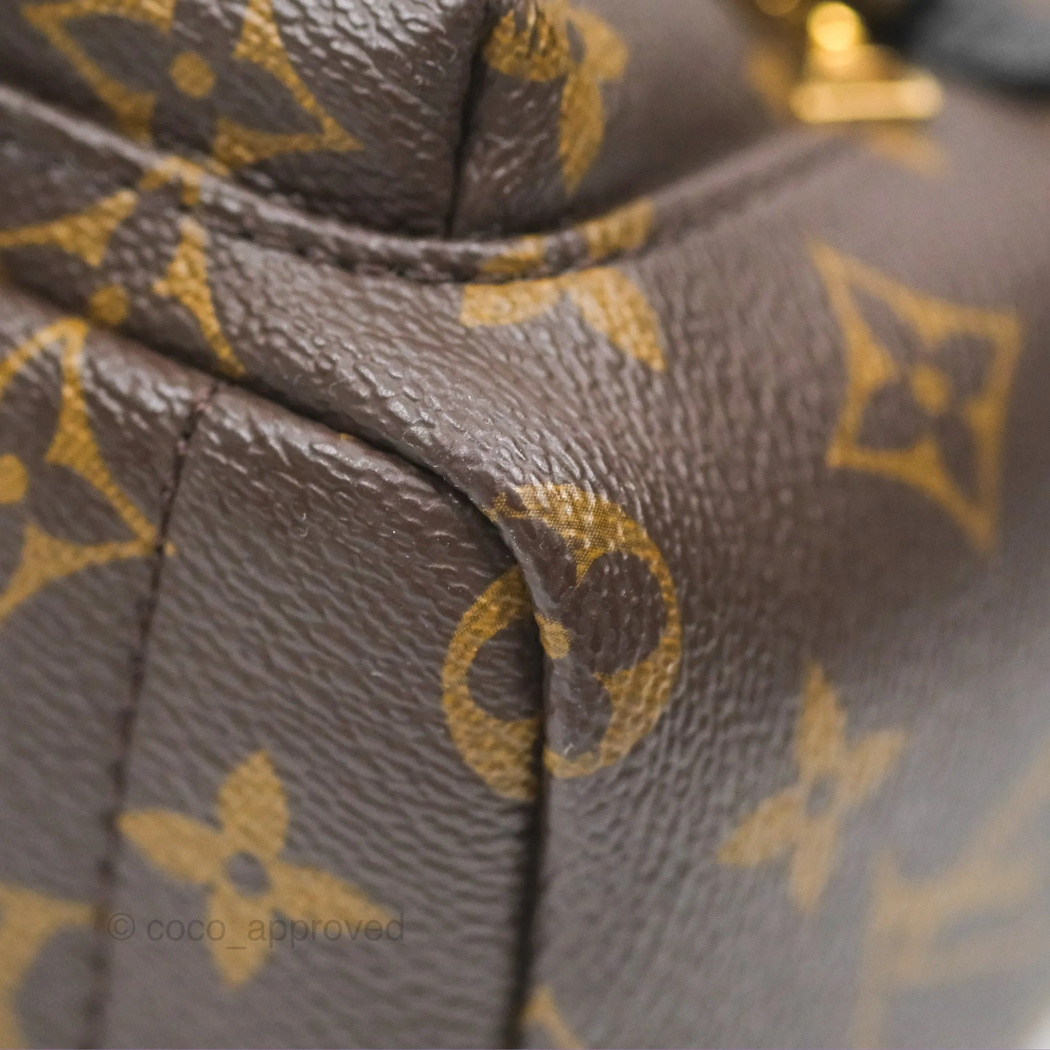 Louis Vuitton Mini Palm Springs Backpack Monogram