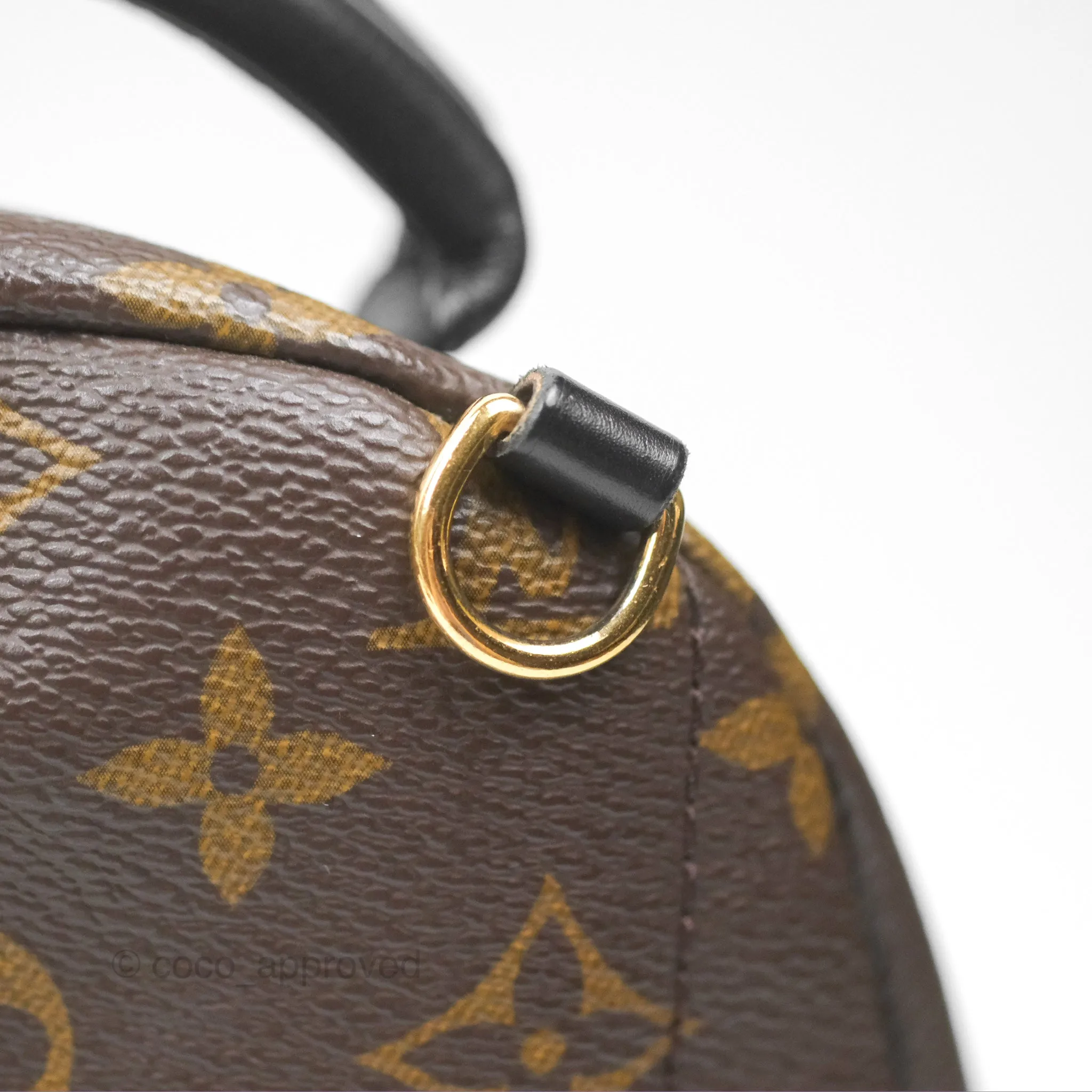 Louis Vuitton Mini Palm Springs Backpack Monogram