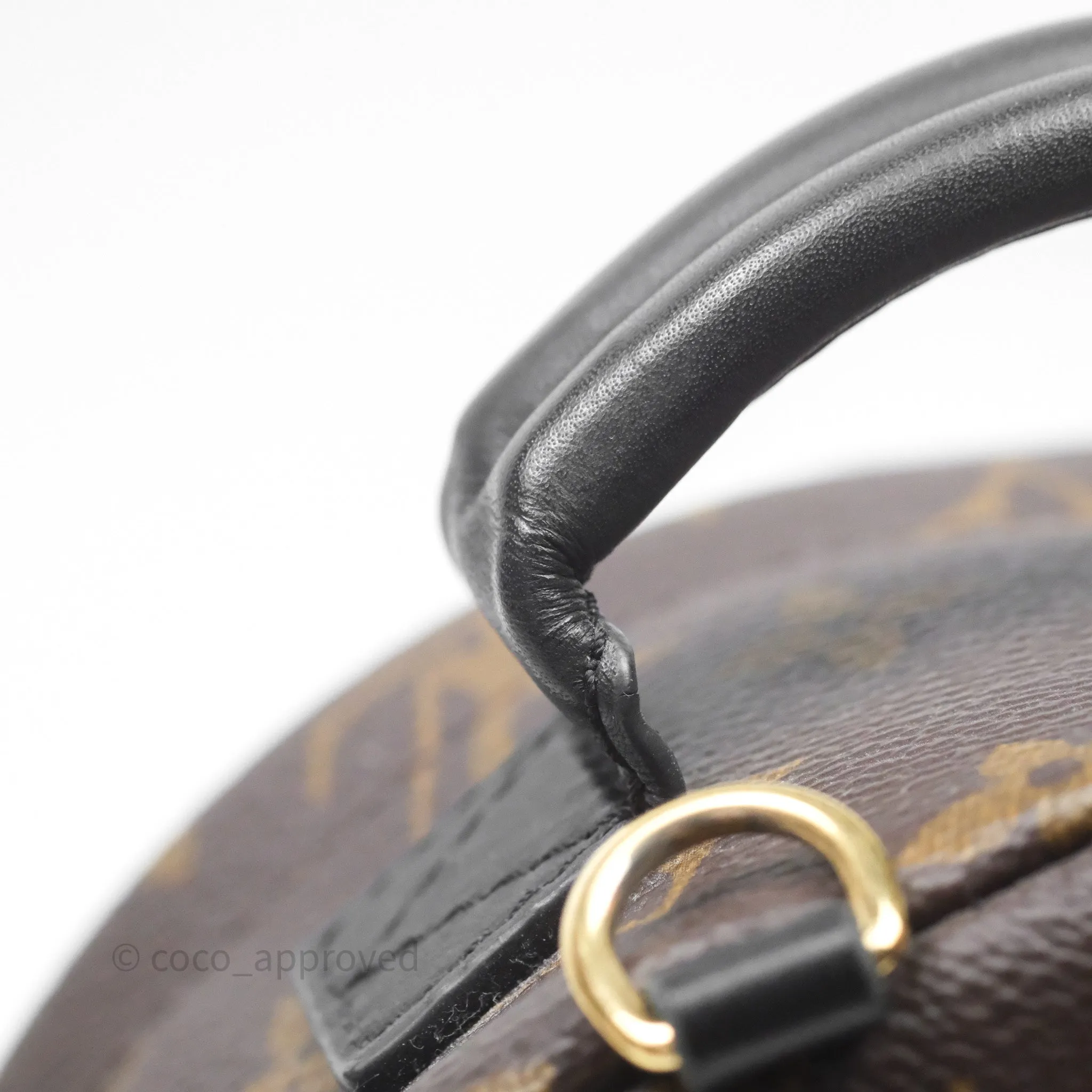 Louis Vuitton Mini Palm Springs Backpack Monogram