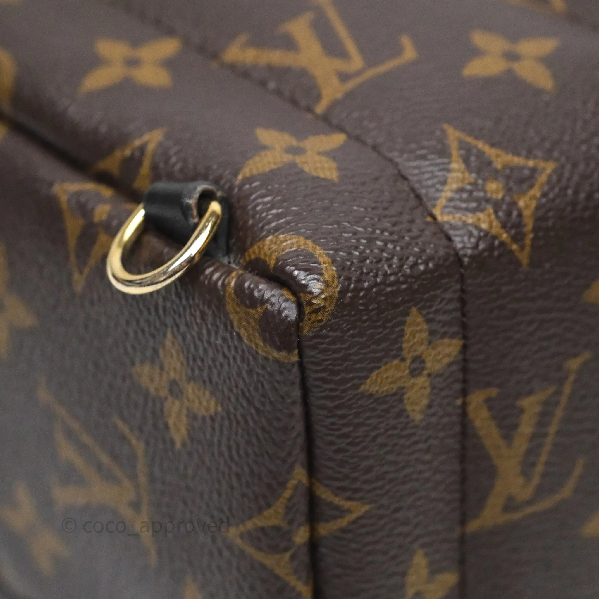Louis Vuitton Mini Palm Springs Backpack Monogram