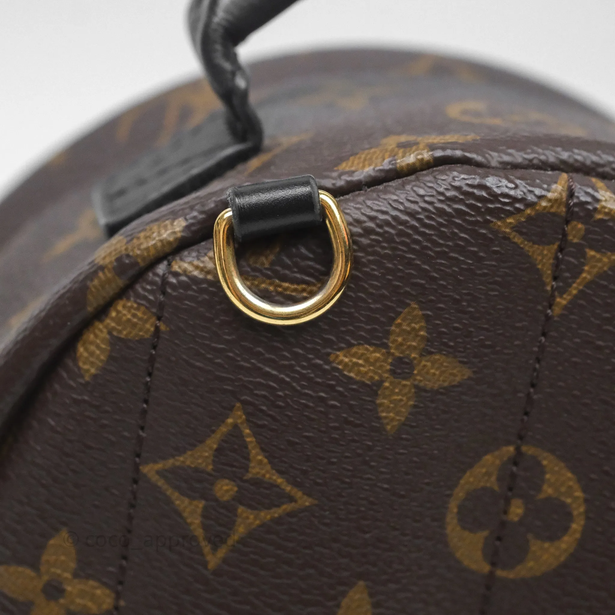 Louis Vuitton Mini Palm Springs Backpack Monogram