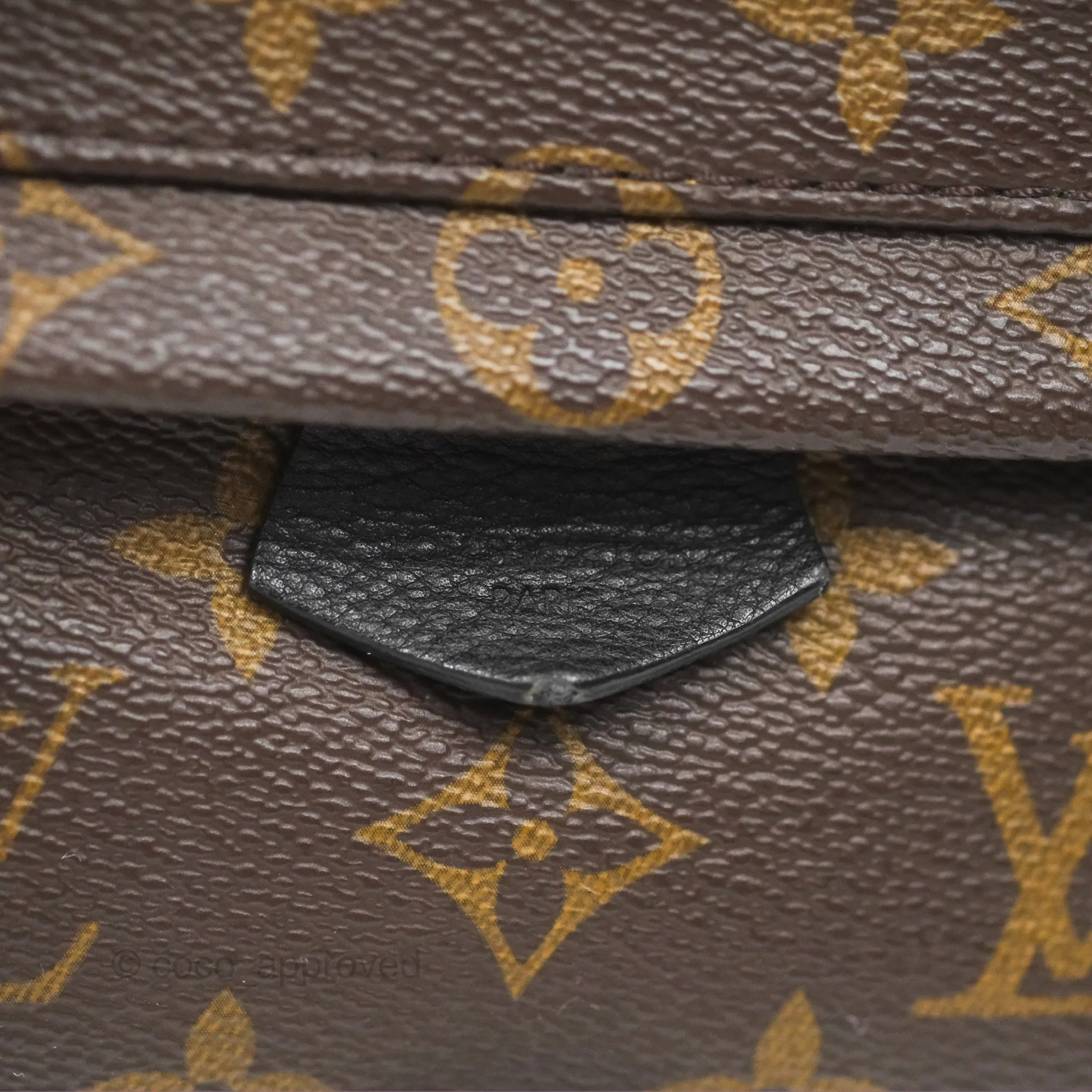 Louis Vuitton Mini Palm Springs Backpack Monogram