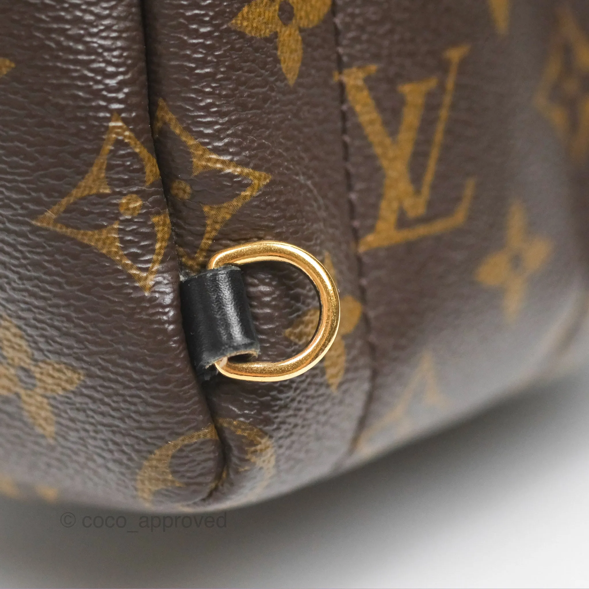 Louis Vuitton Mini Palm Springs Backpack Monogram