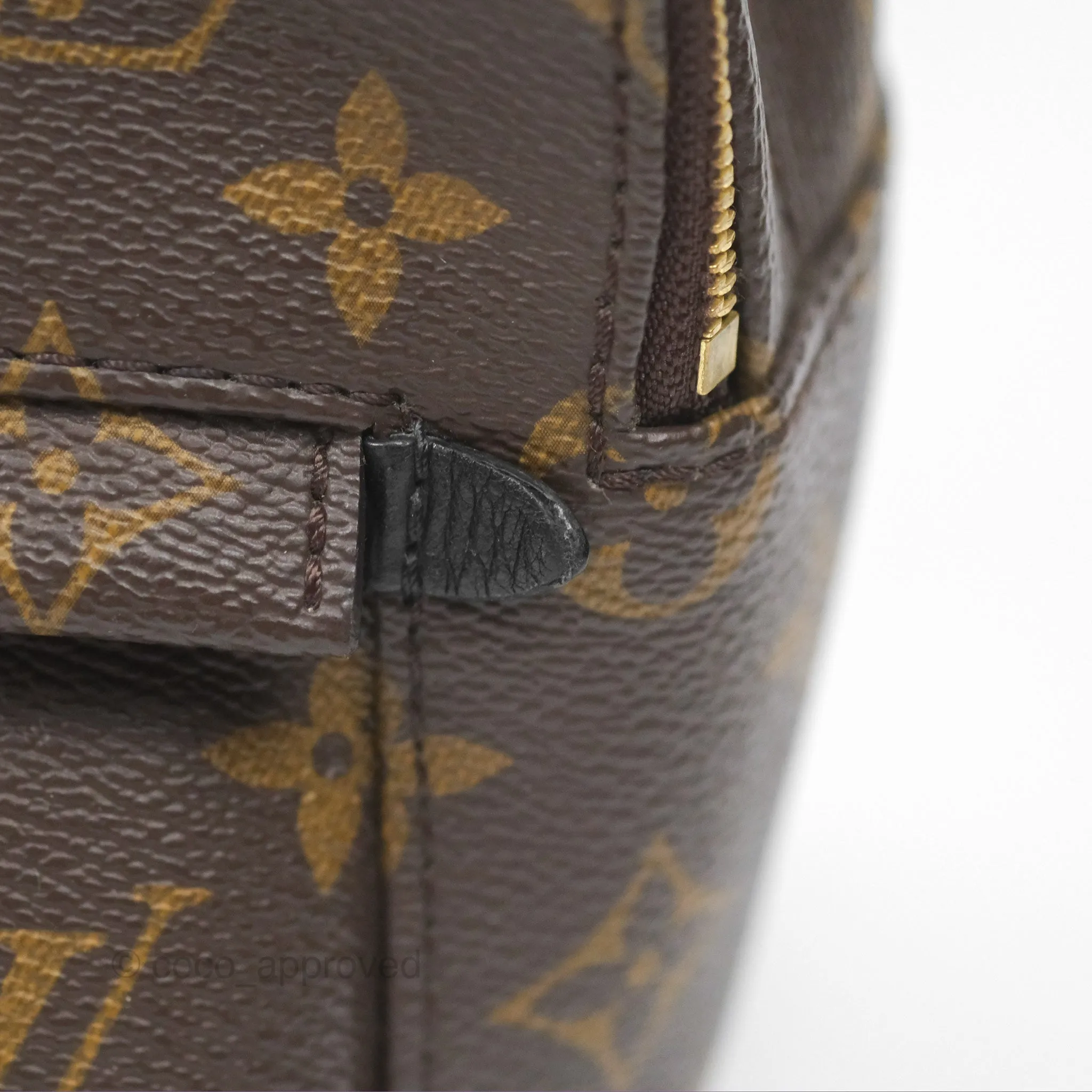 Louis Vuitton Mini Palm Springs Backpack Monogram