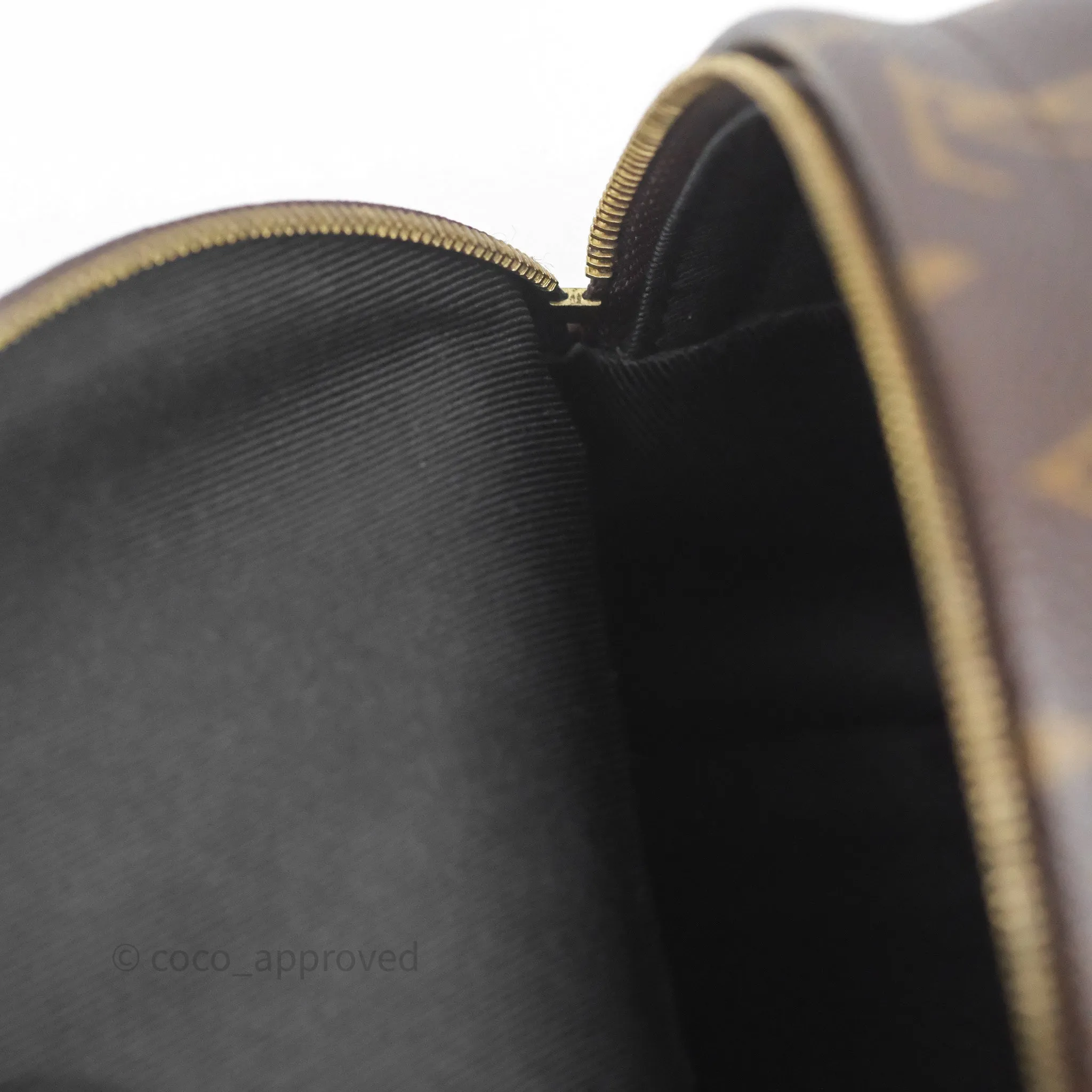 Louis Vuitton Mini Palm Springs Backpack Monogram