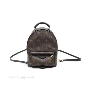 Louis Vuitton Mini Palm Springs Backpack Monogram