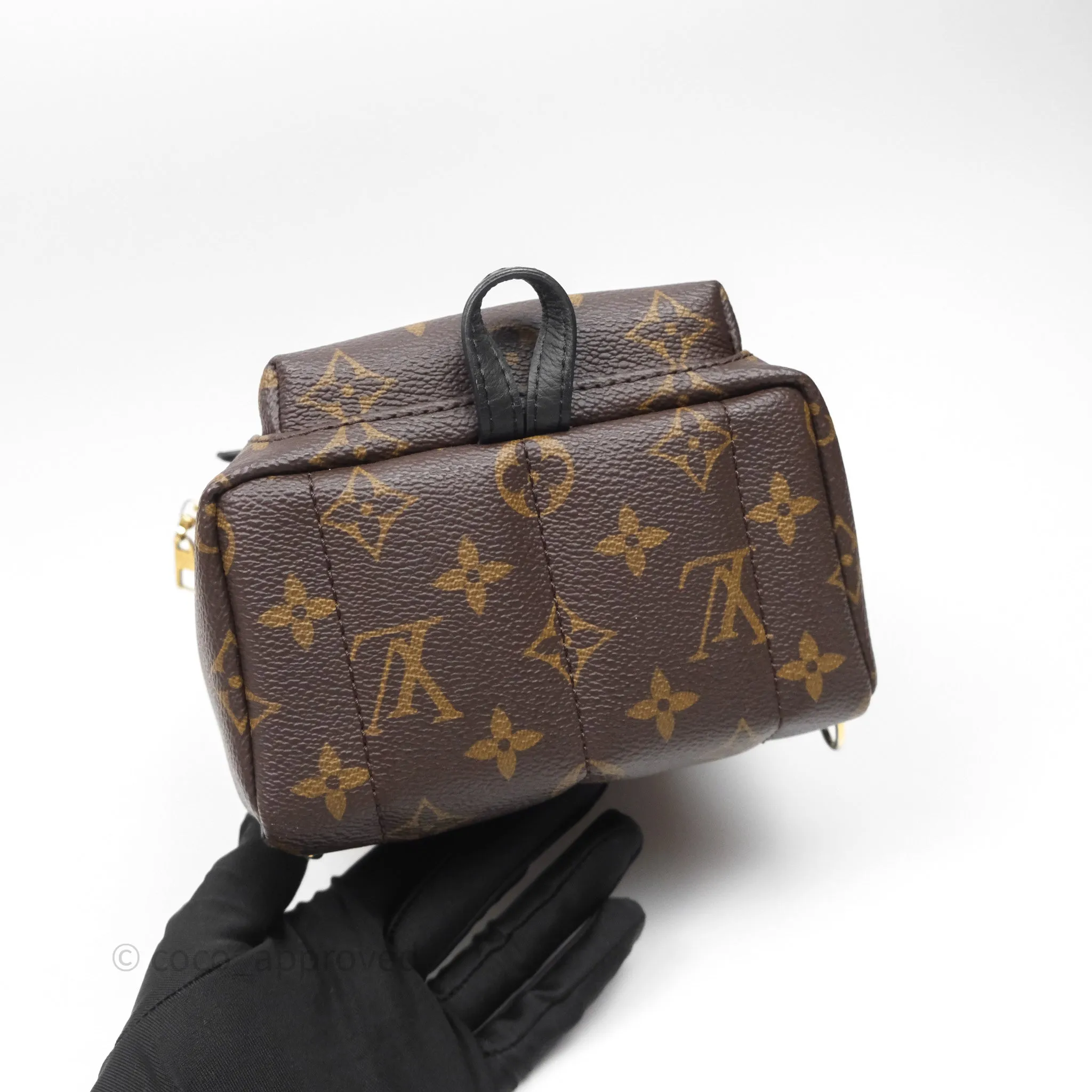 Louis Vuitton Mini Palm Springs Backpack Monogram