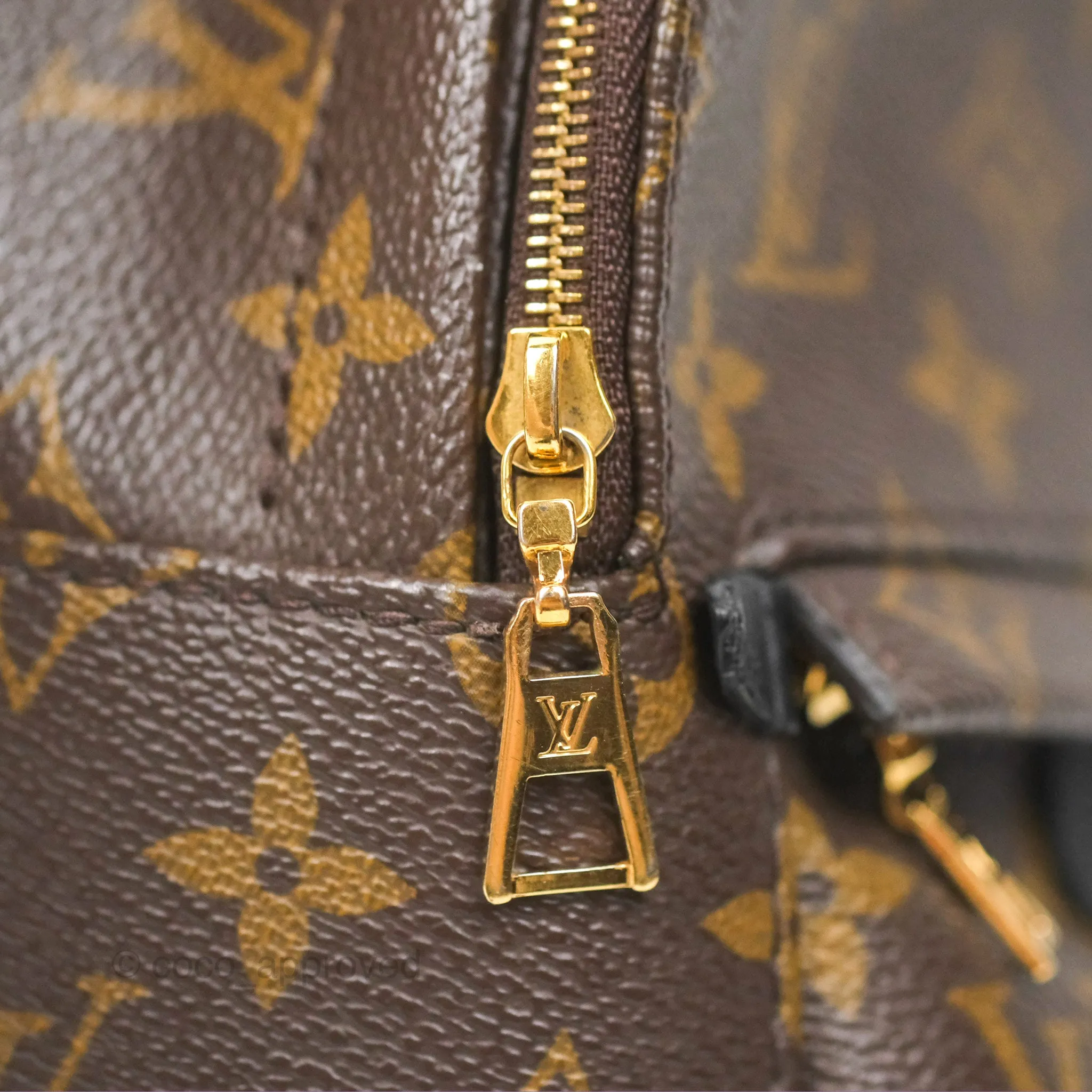 Louis Vuitton Mini Palm Springs Backpack Monogram