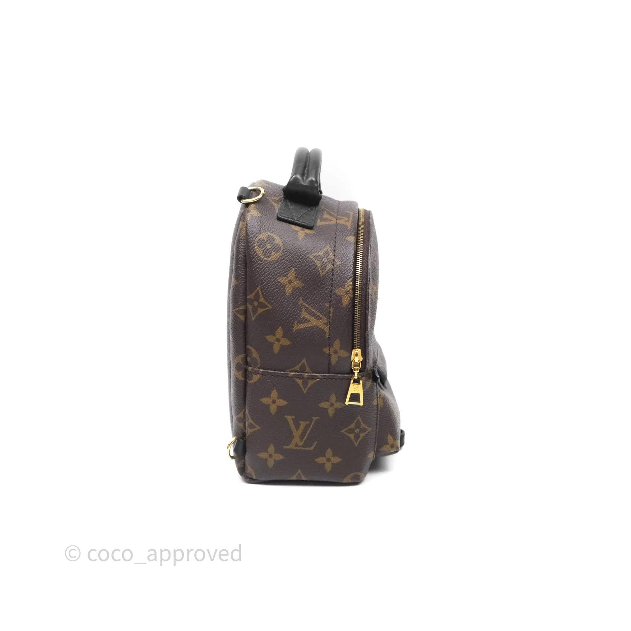 Louis Vuitton Mini Palm Springs Backpack Monogram