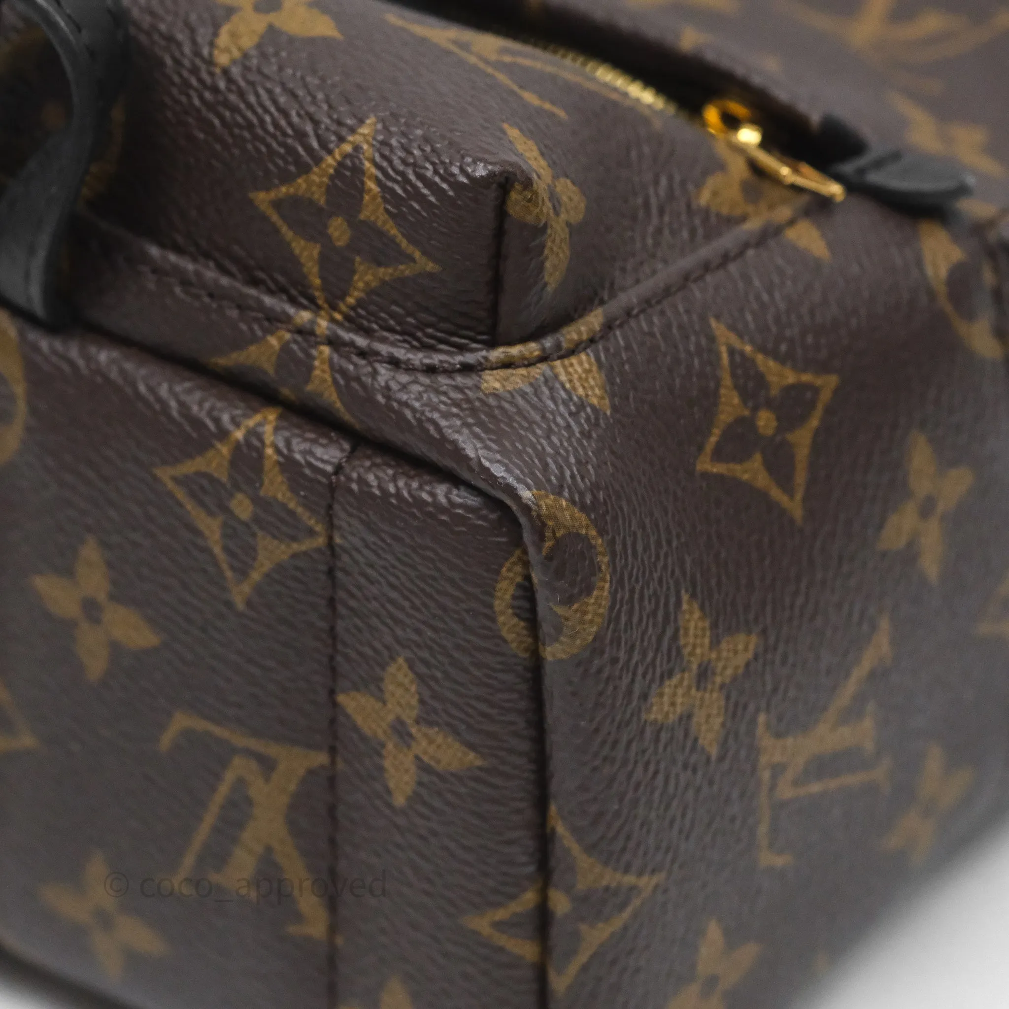 Louis Vuitton Mini Palm Springs Backpack Monogram
