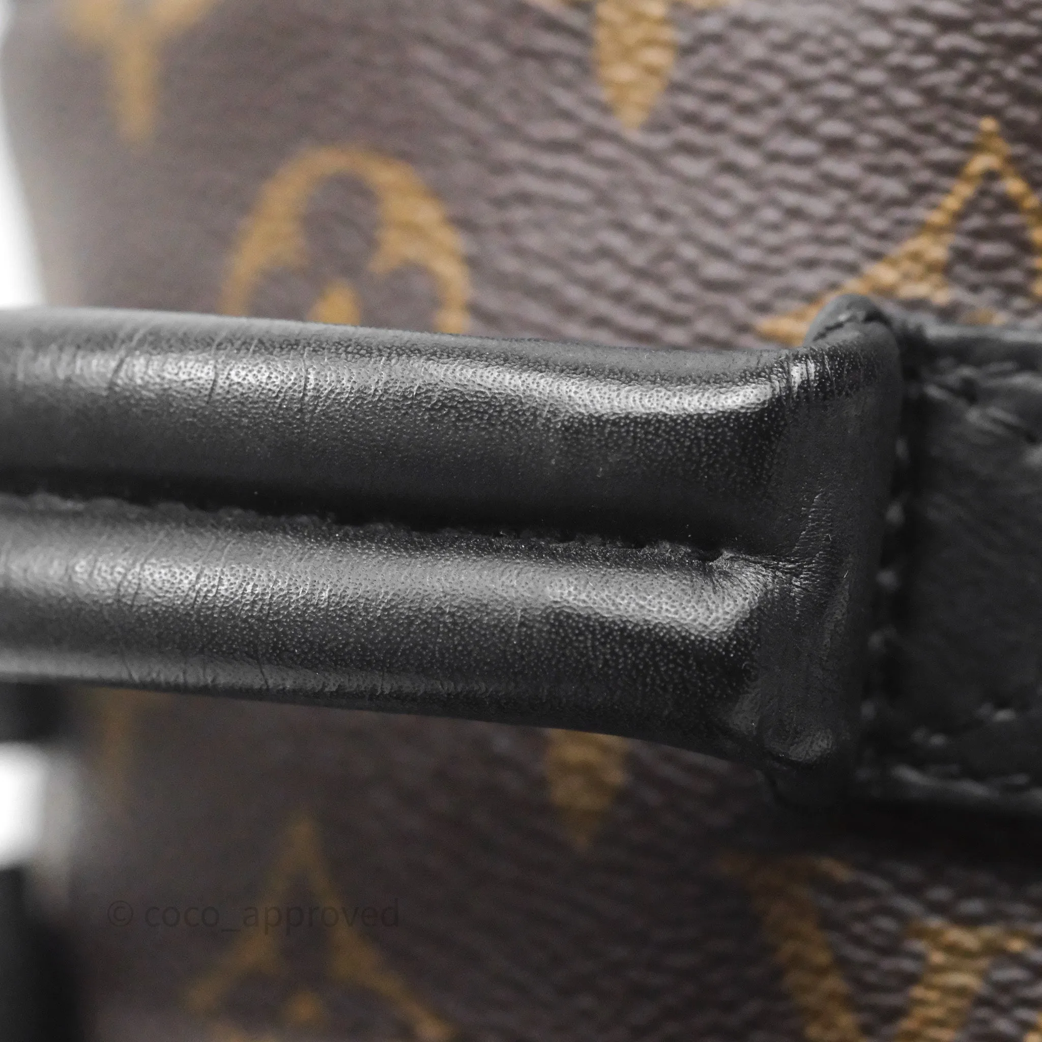 Louis Vuitton Mini Palm Springs Backpack Monogram
