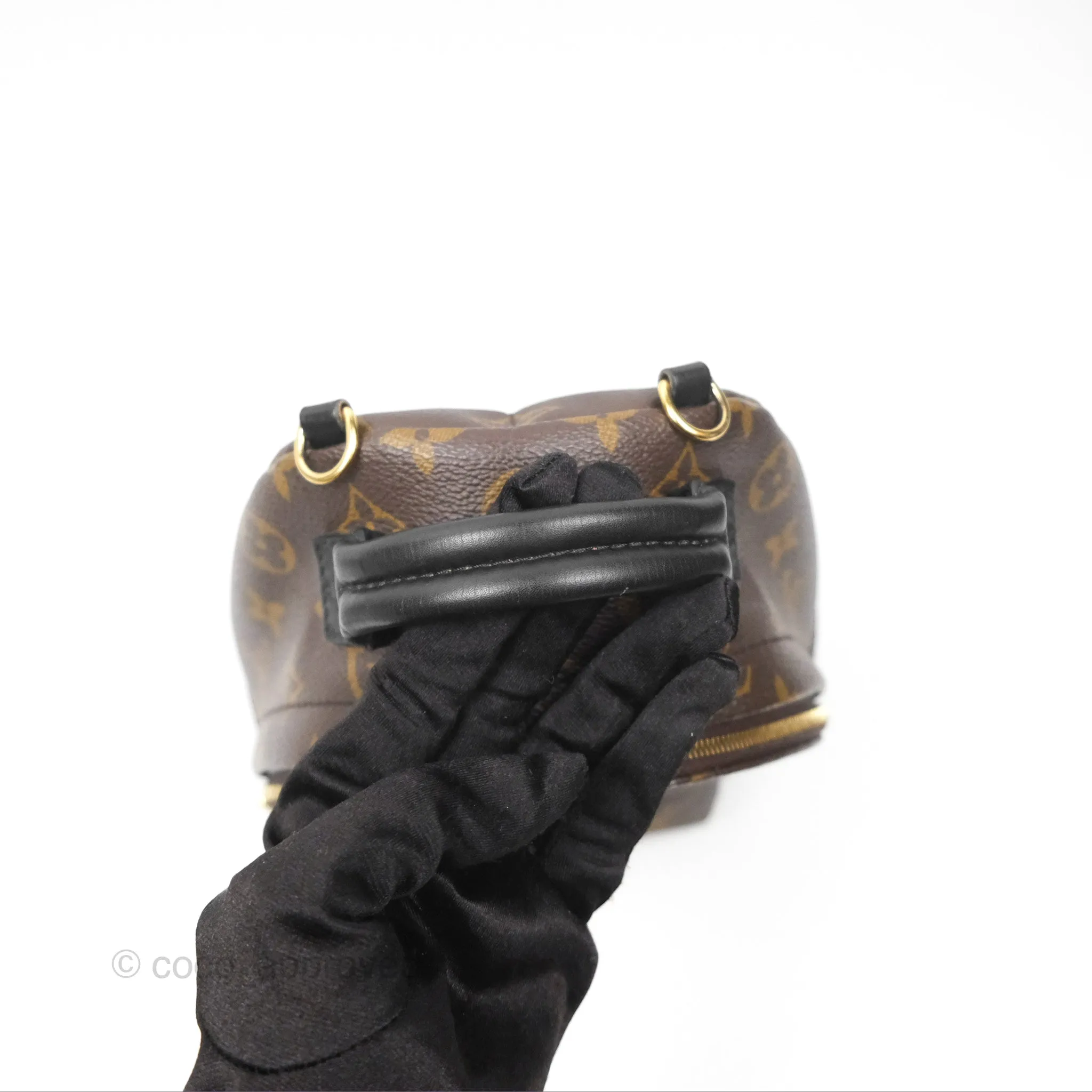 Louis Vuitton Mini Palm Springs Backpack Monogram