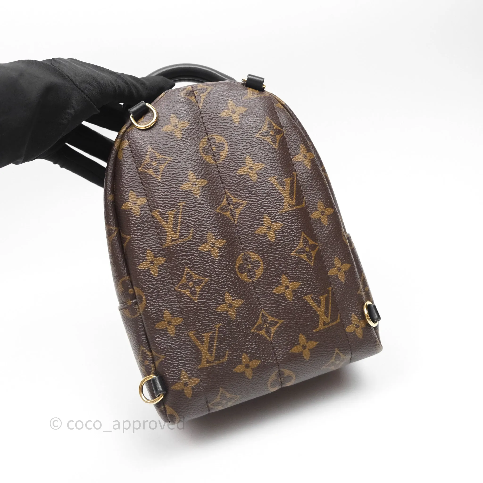 Louis Vuitton Mini Palm Springs Backpack Monogram