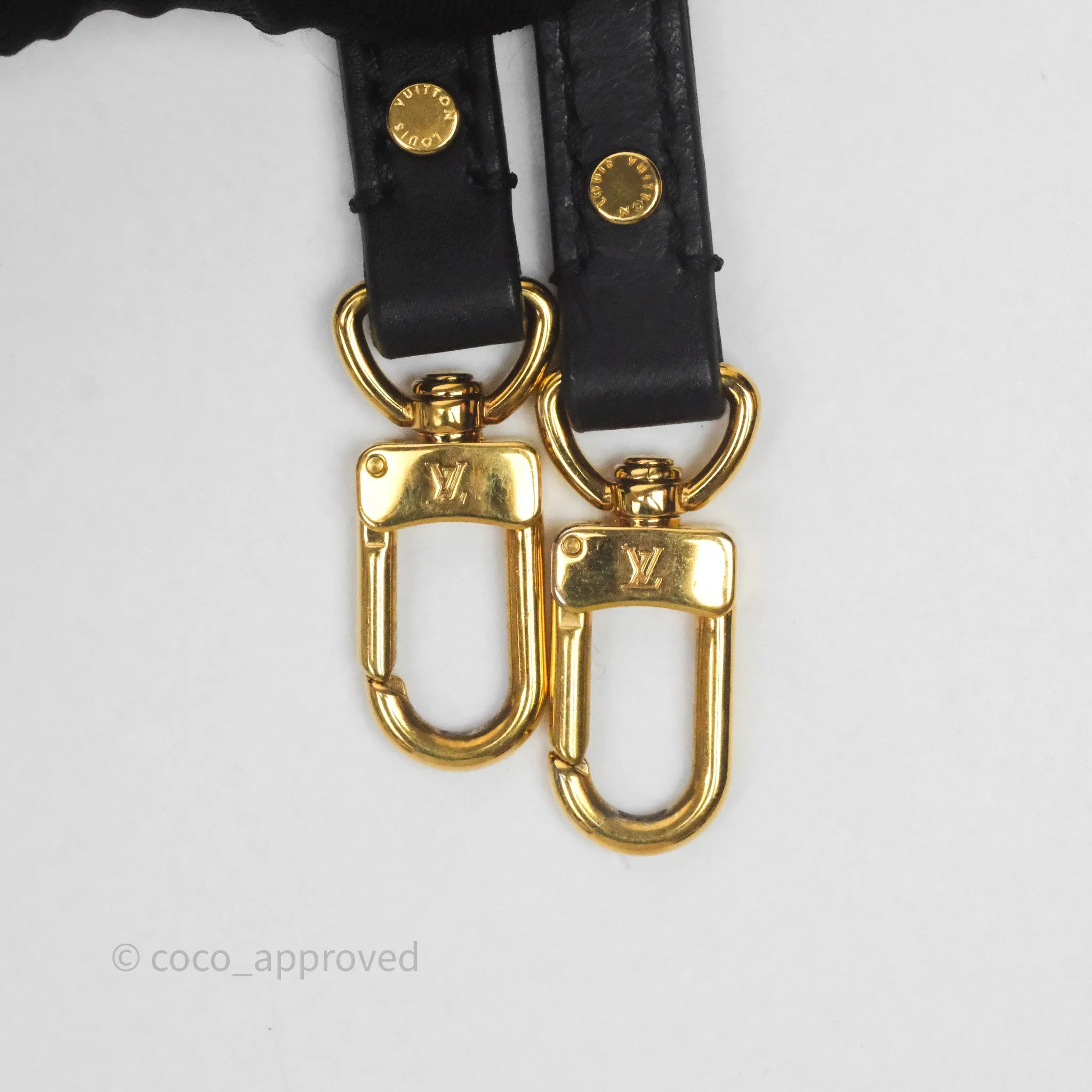 Louis Vuitton Mini Palm Springs Backpack Monogram