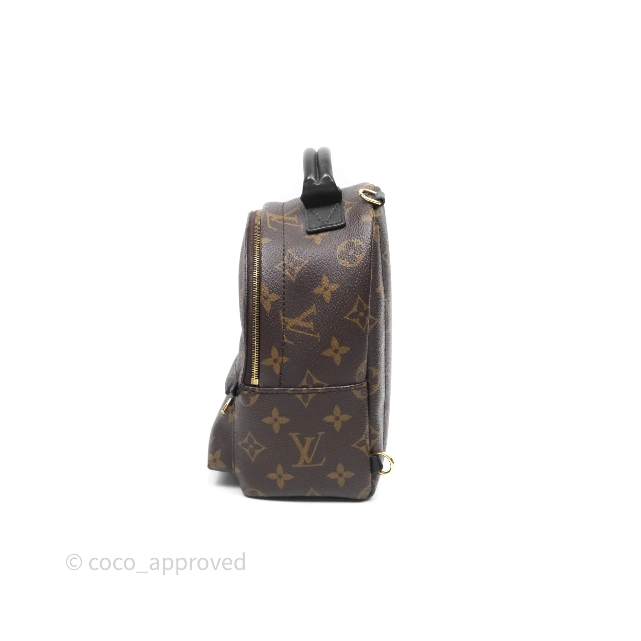 Louis Vuitton Mini Palm Springs Backpack Monogram