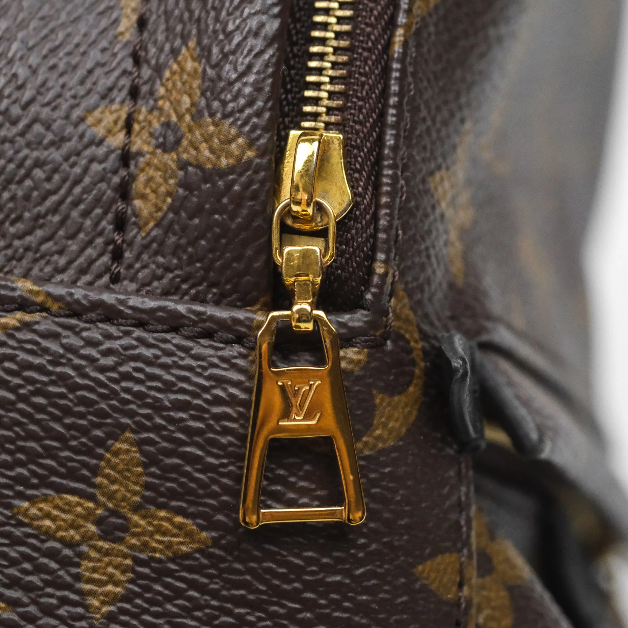 Louis Vuitton Mini Palm Springs Backpack Monogram