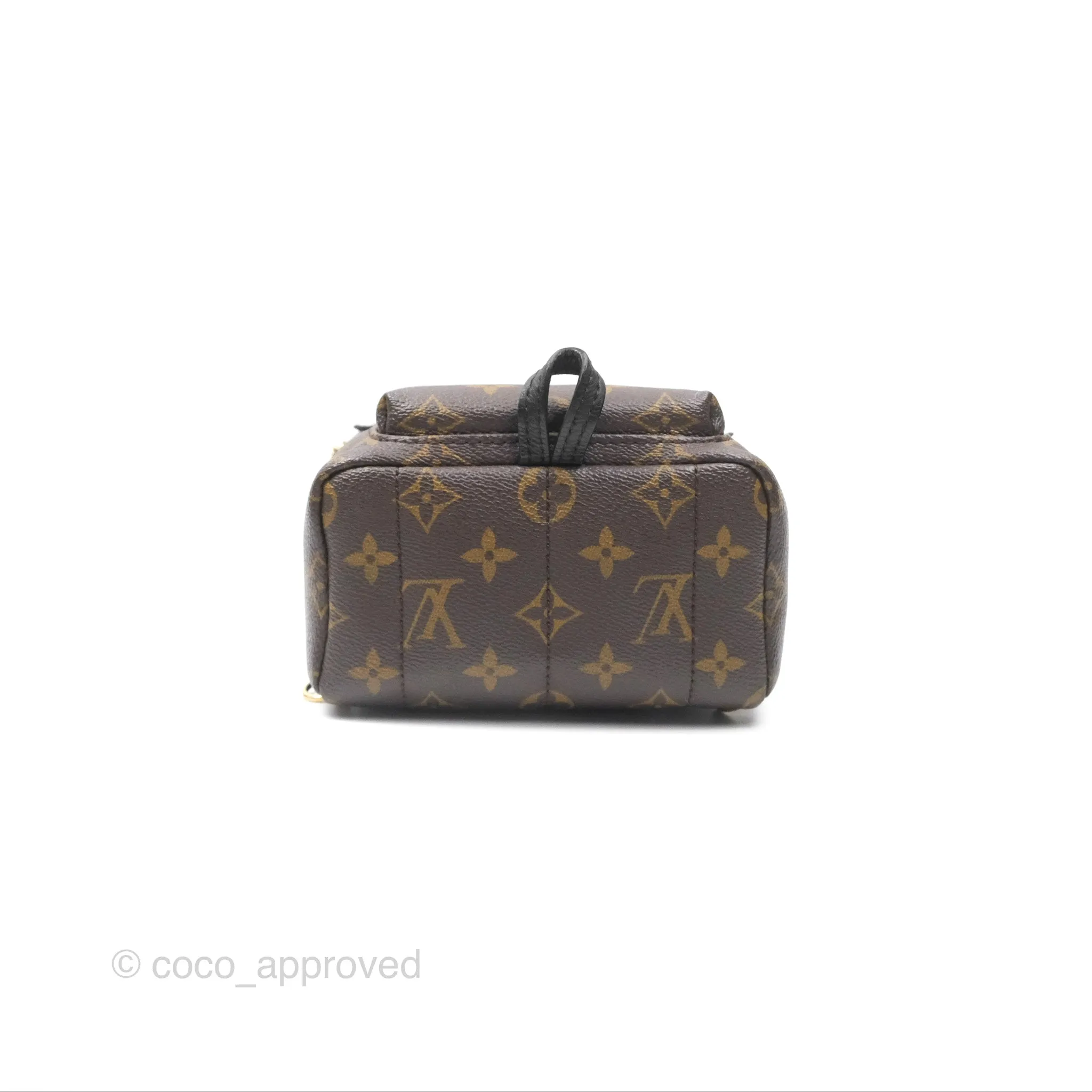 Louis Vuitton Mini Palm Springs Backpack Monogram