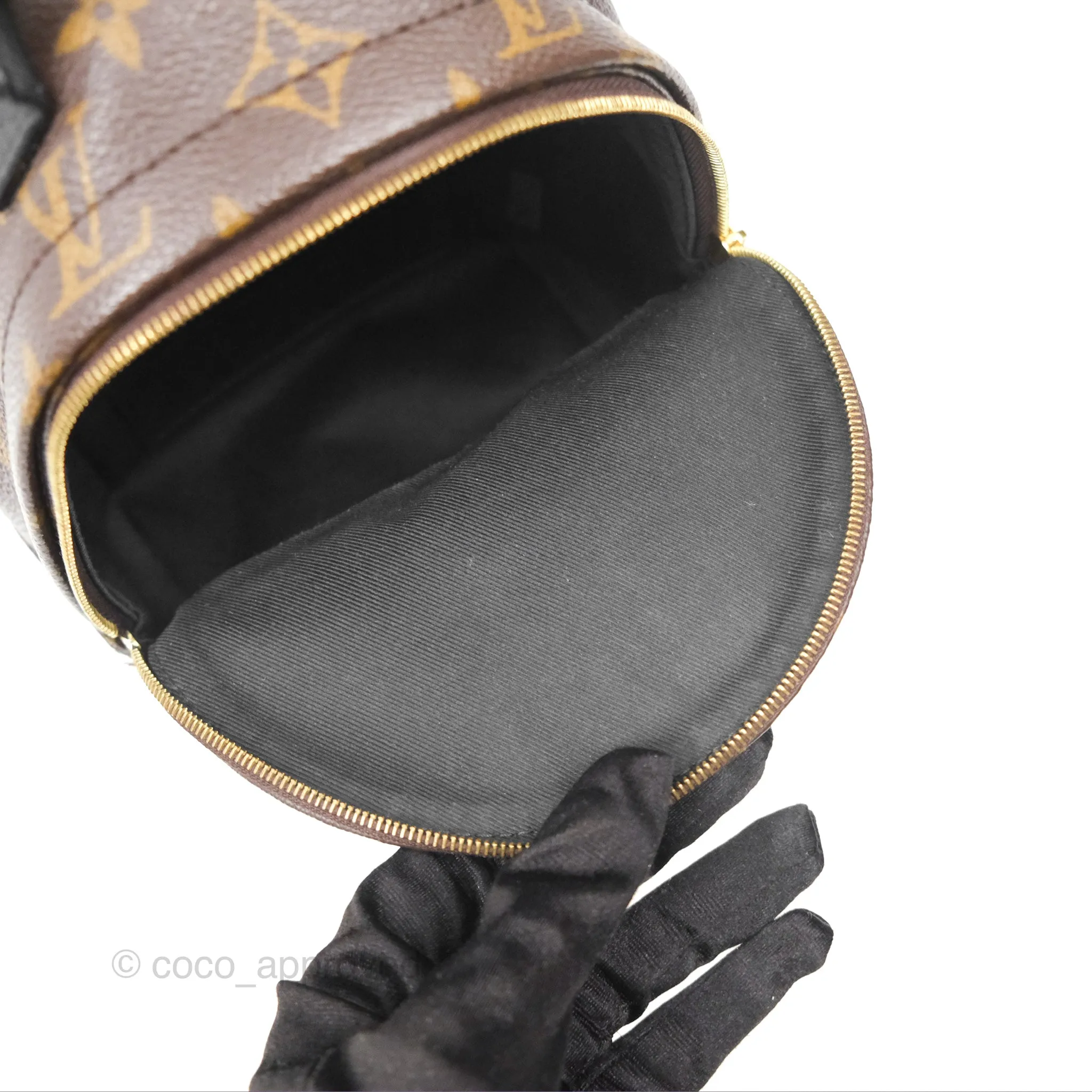 Louis Vuitton Mini Palm Springs Backpack Monogram