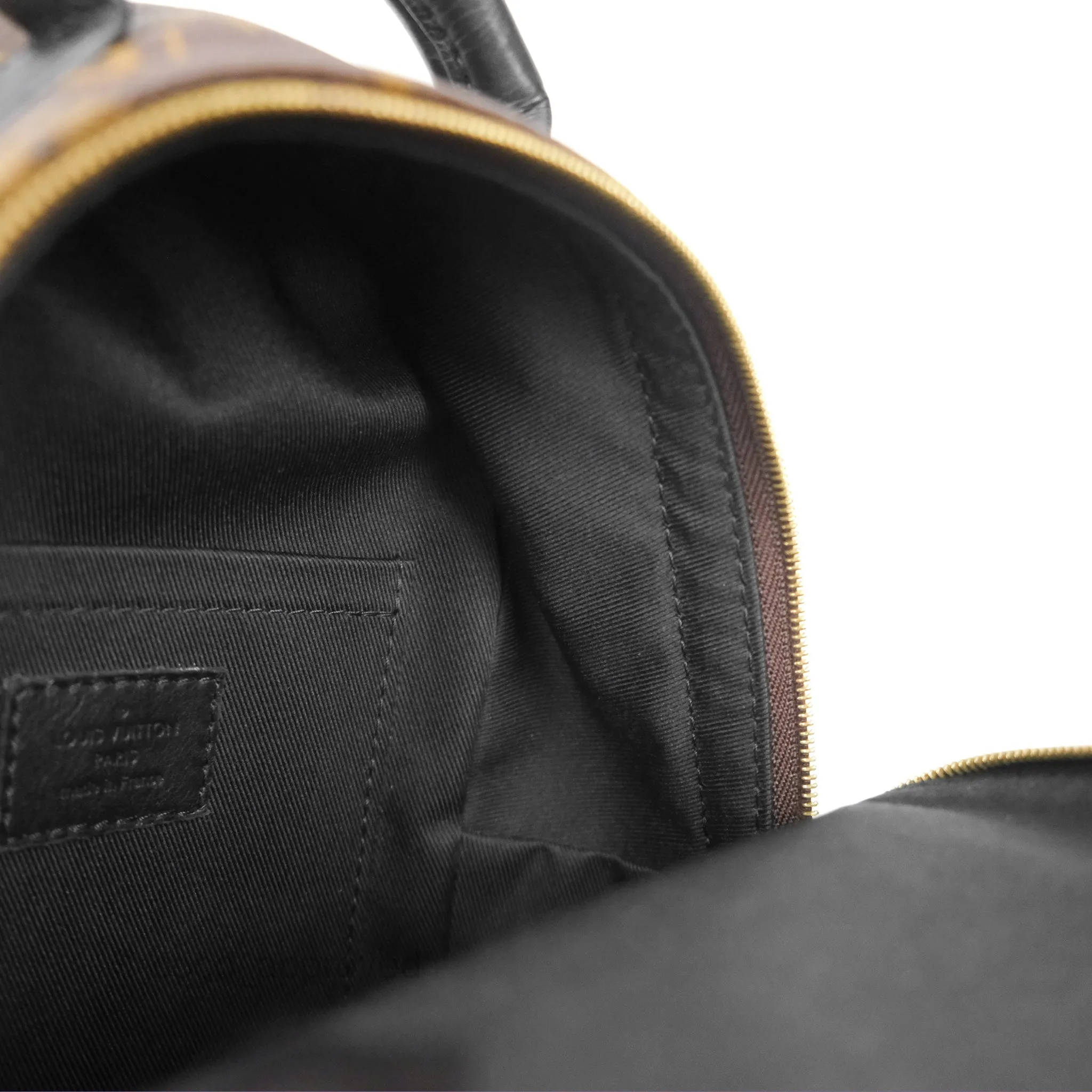 Louis Vuitton Mini Palm Springs Backpack Monogram
