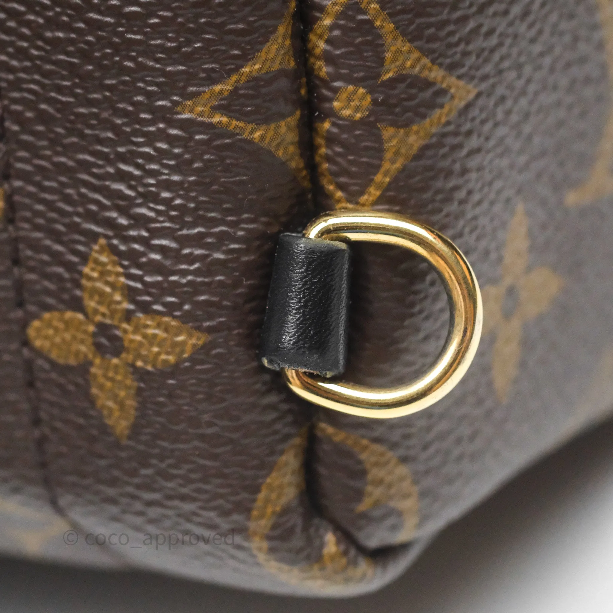 Louis Vuitton Mini Palm Springs Backpack Monogram