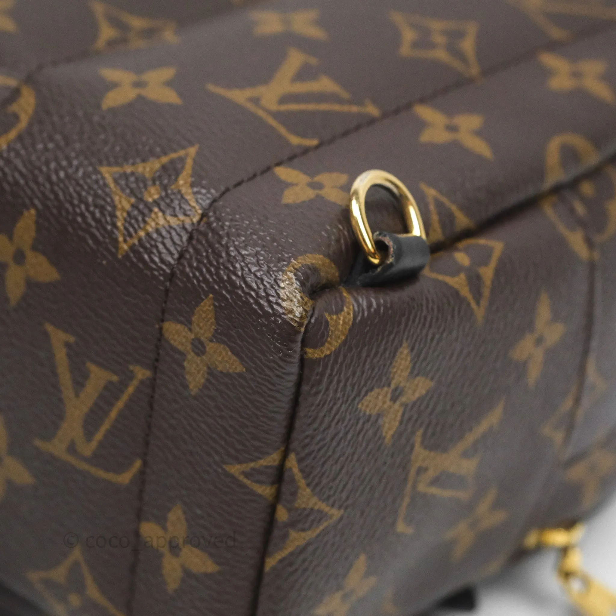 Louis Vuitton Mini Palm Springs Backpack Monogram