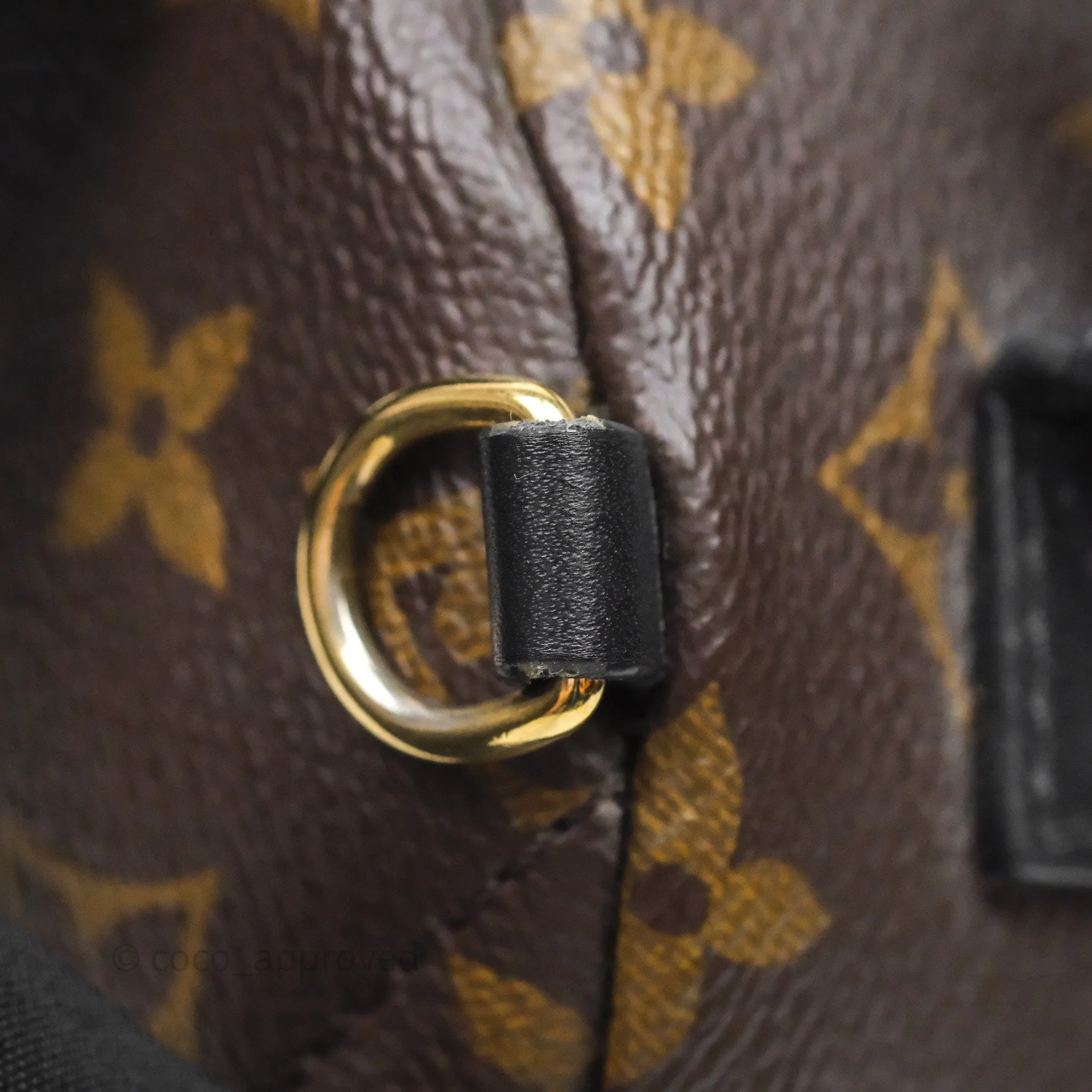 Louis Vuitton Mini Palm Springs Backpack Monogram