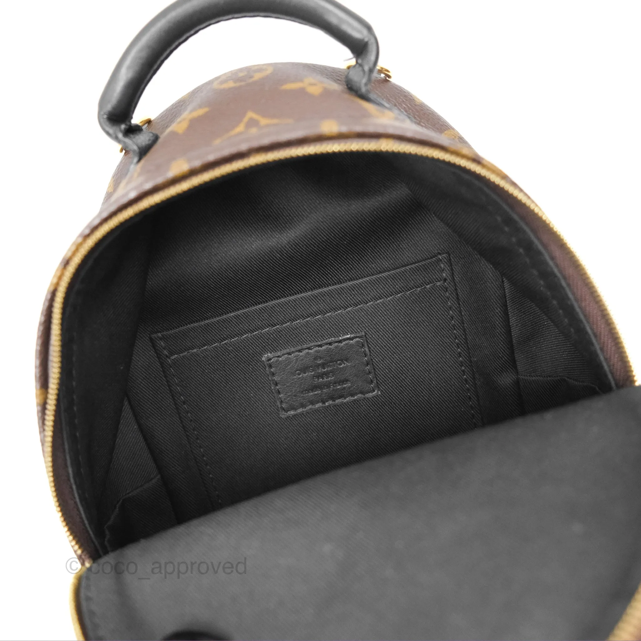 Louis Vuitton Mini Palm Springs Backpack Monogram