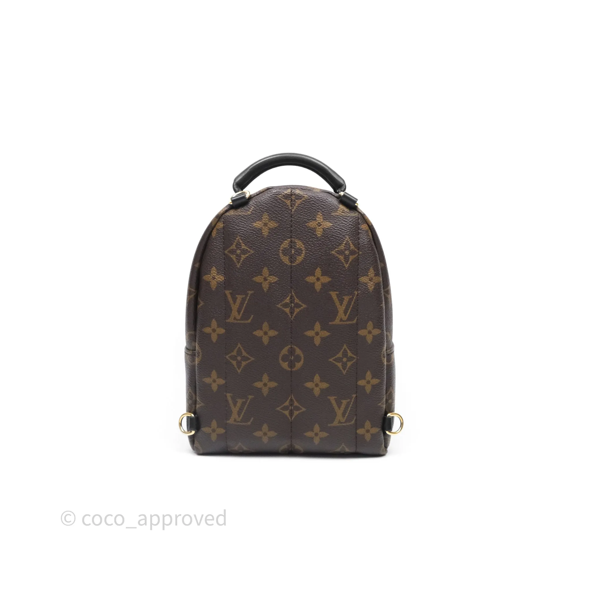 Louis Vuitton Mini Palm Springs Backpack Monogram